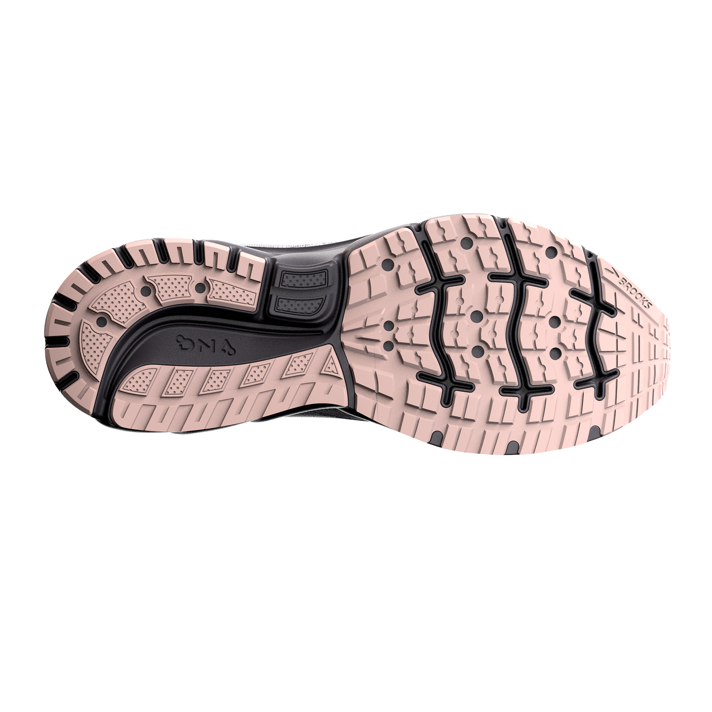 sole