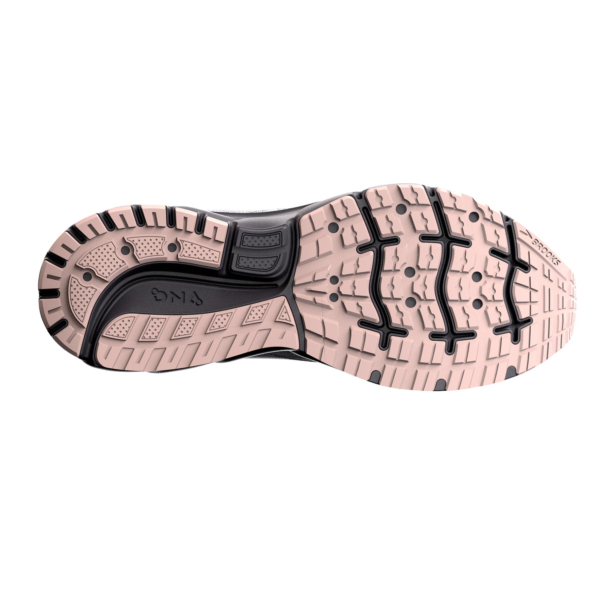 sole