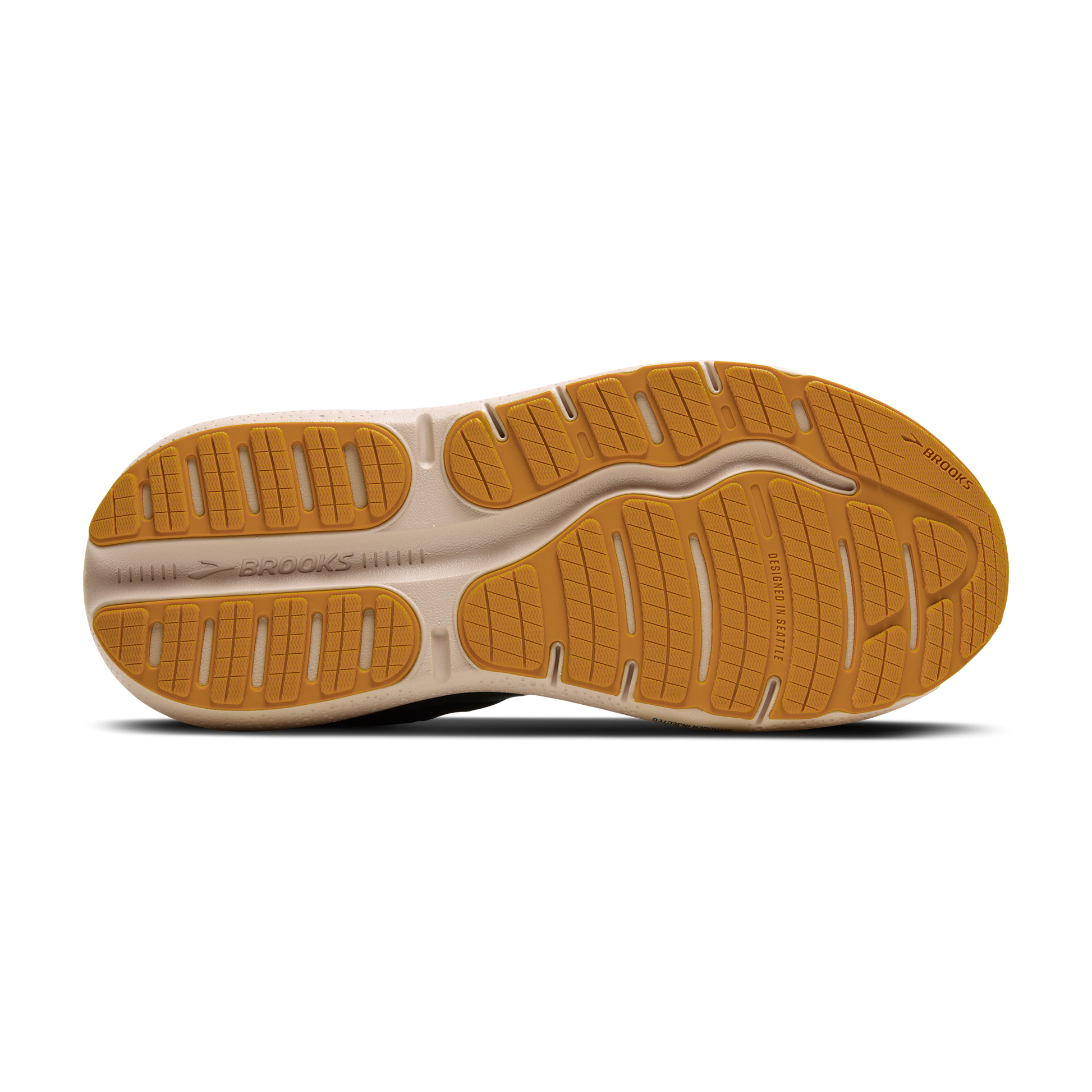 sole
