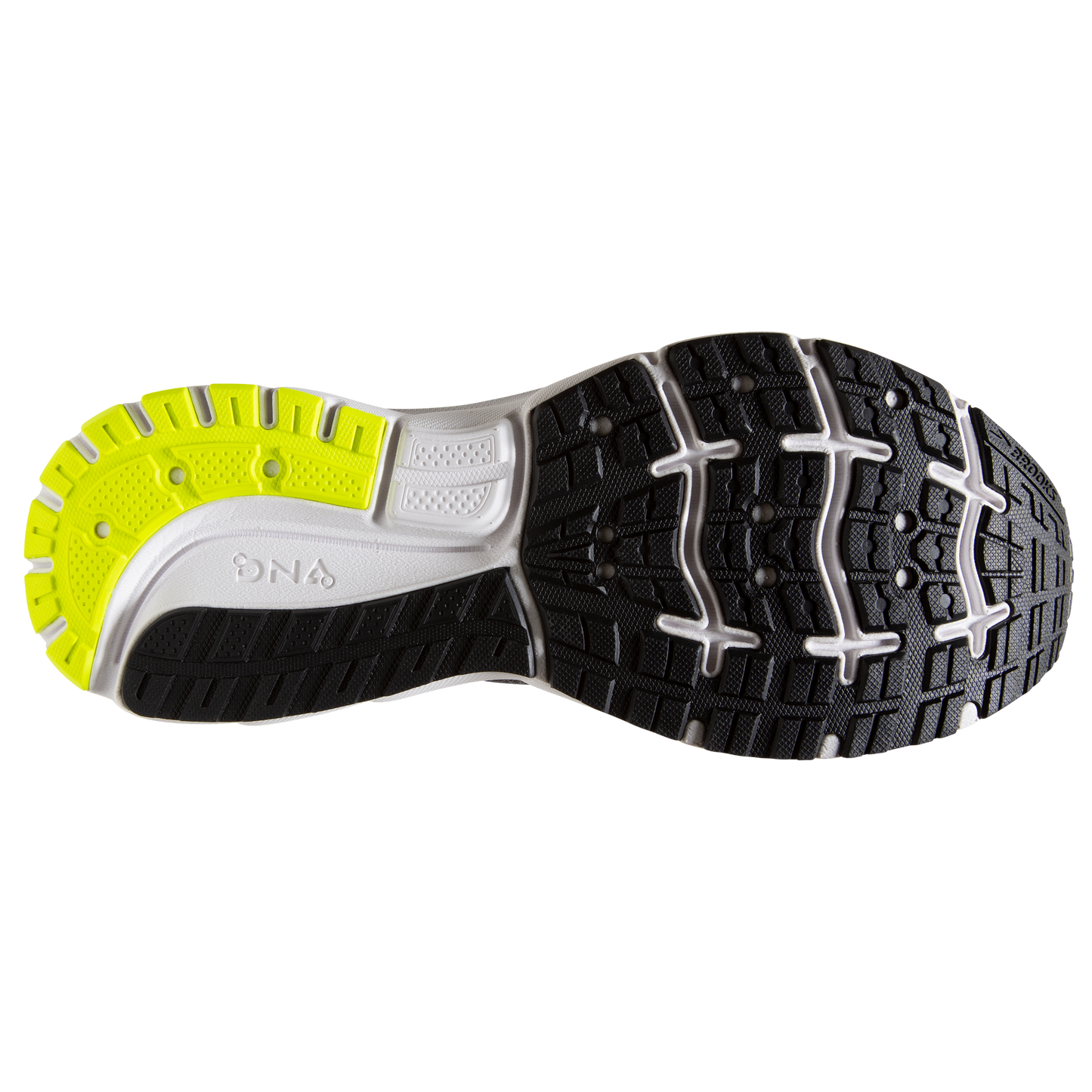 sole