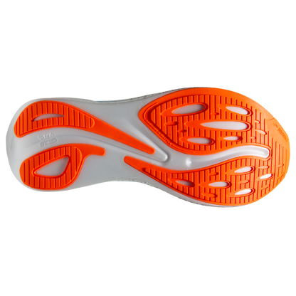 sole