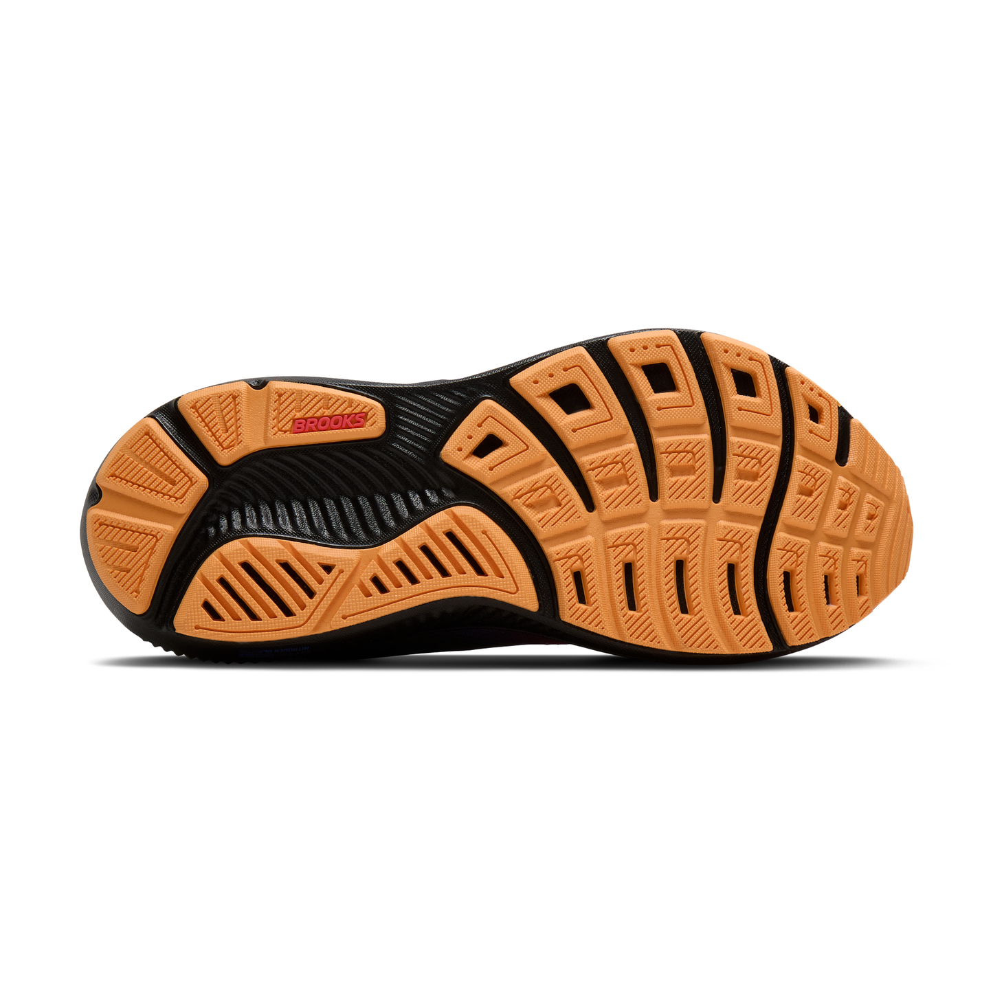 sole