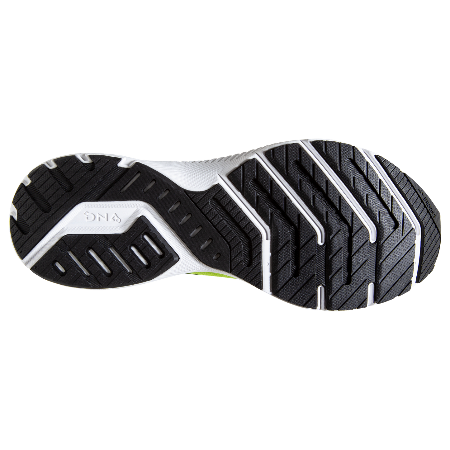 sole
