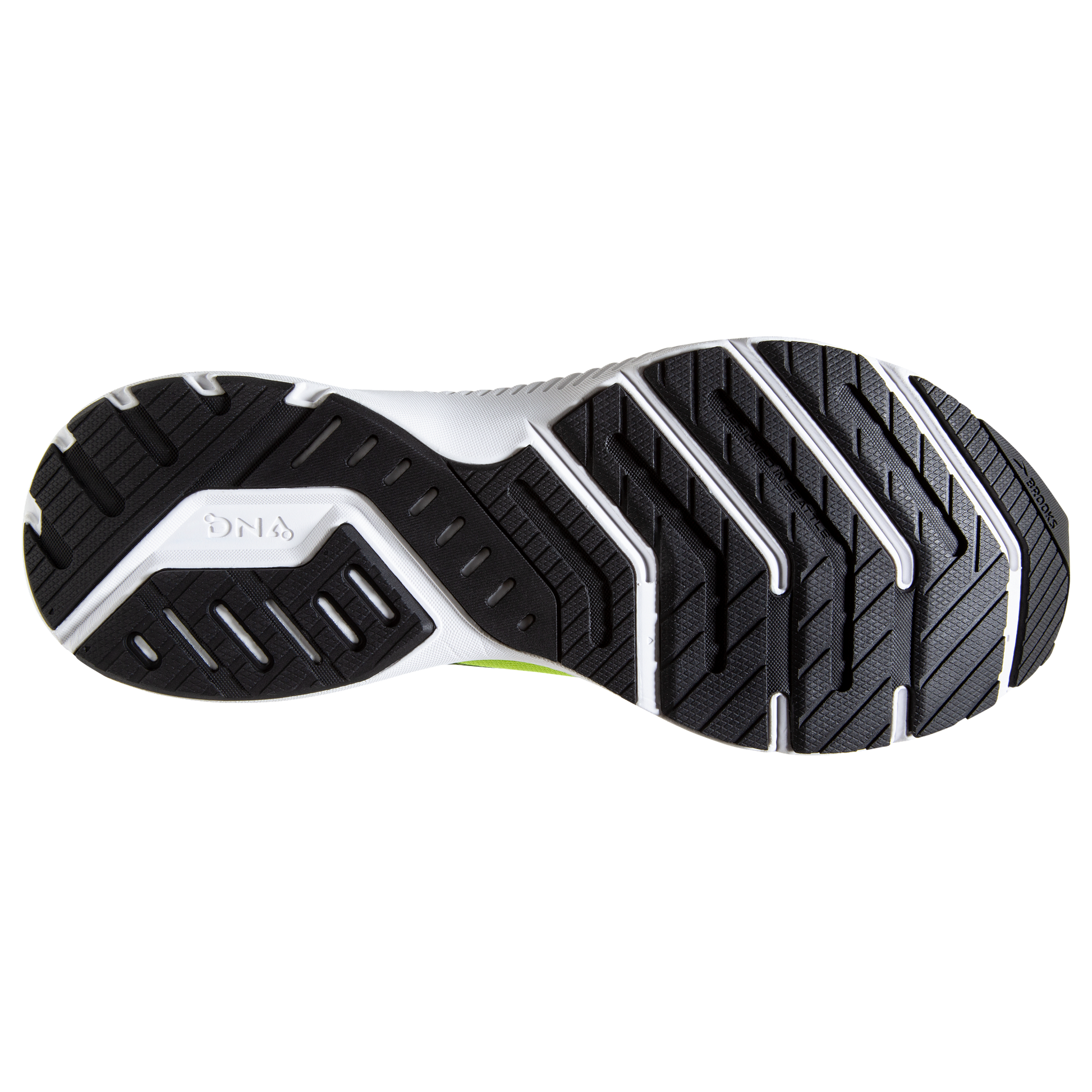 sole