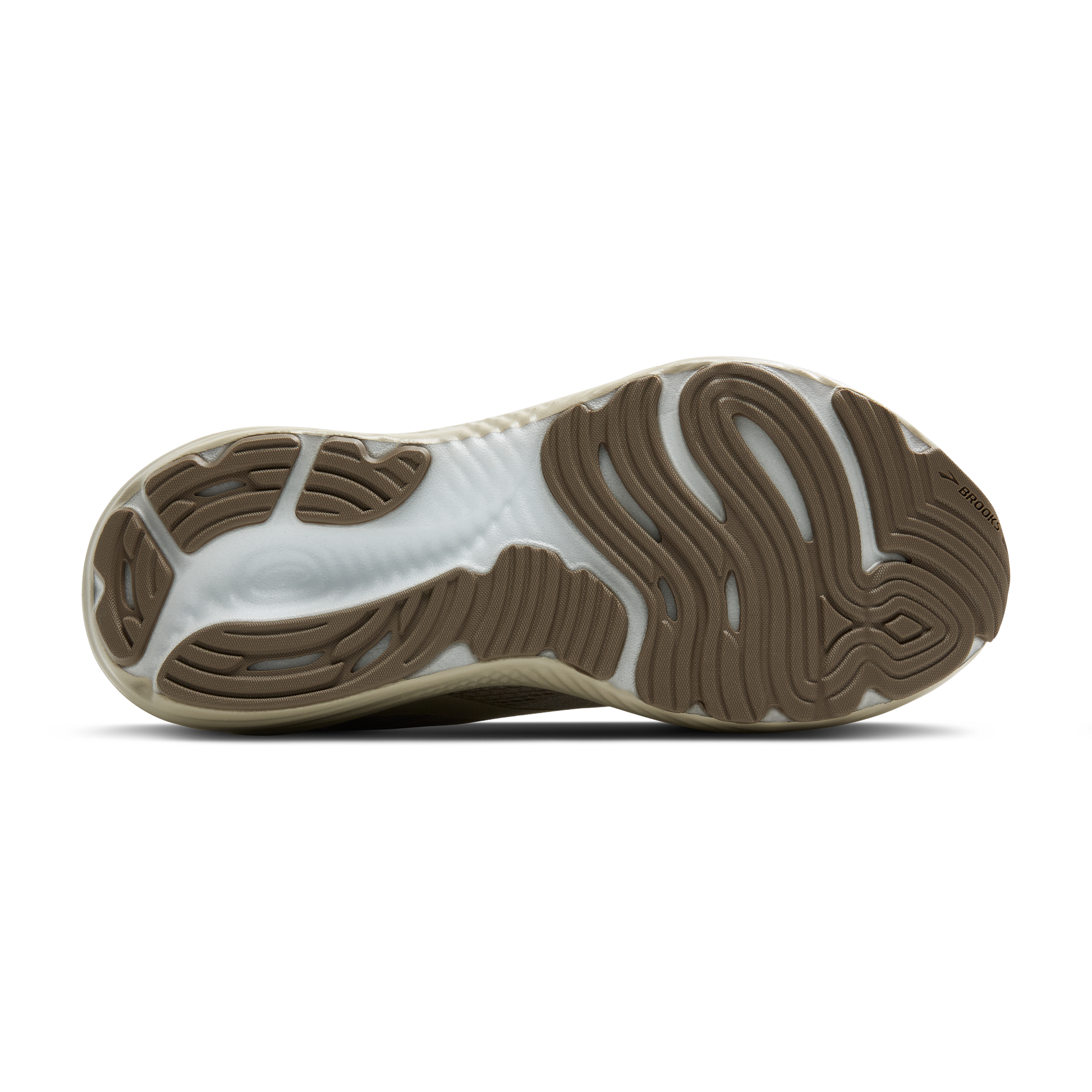 sole