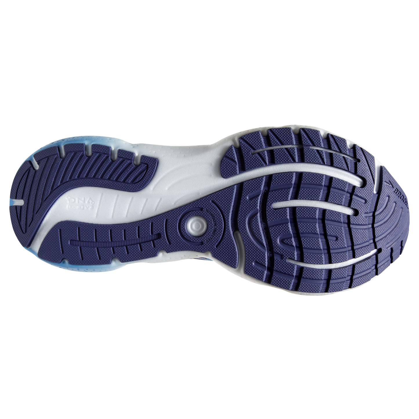 sole