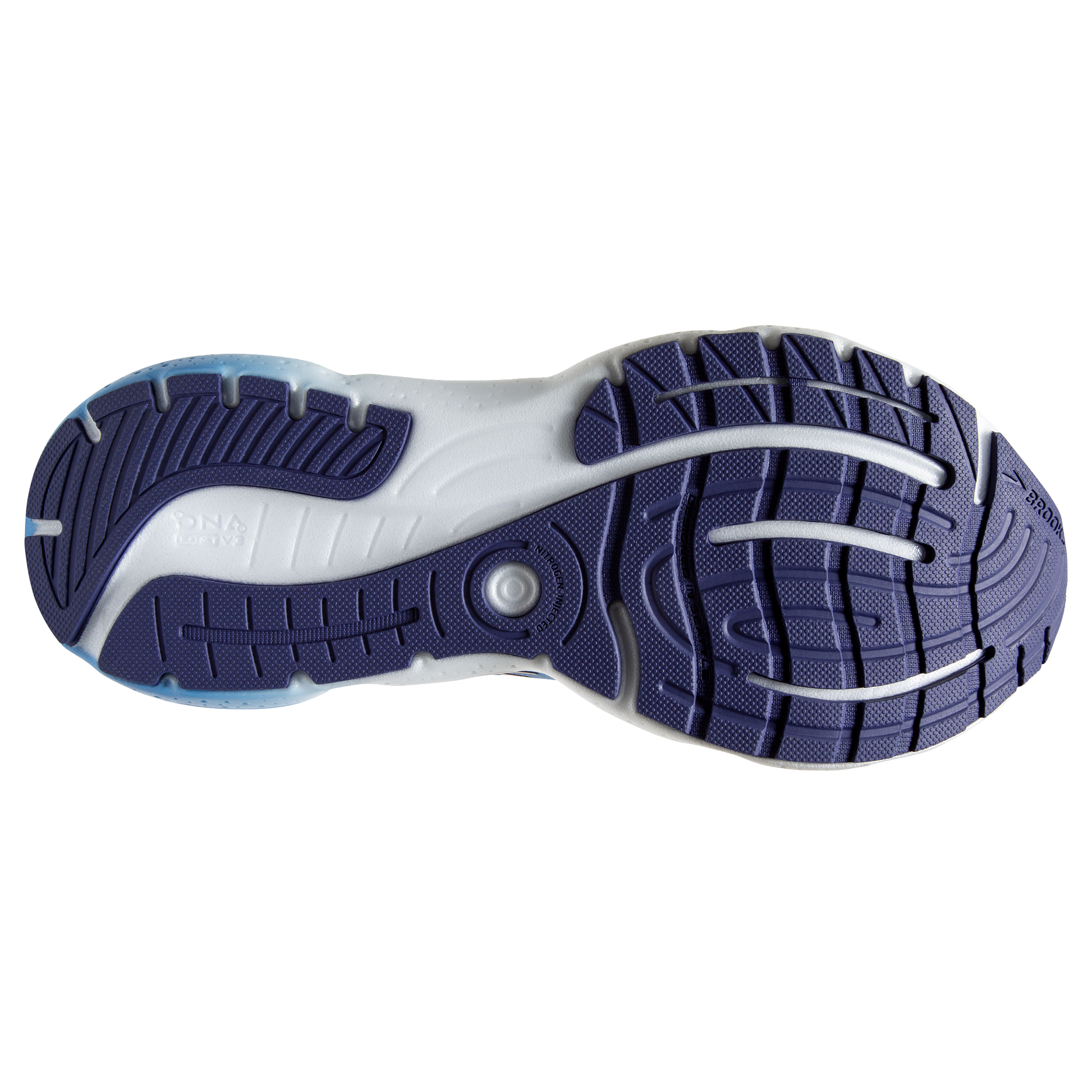 sole