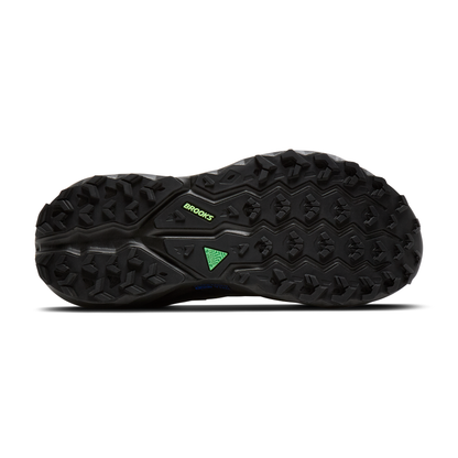sole