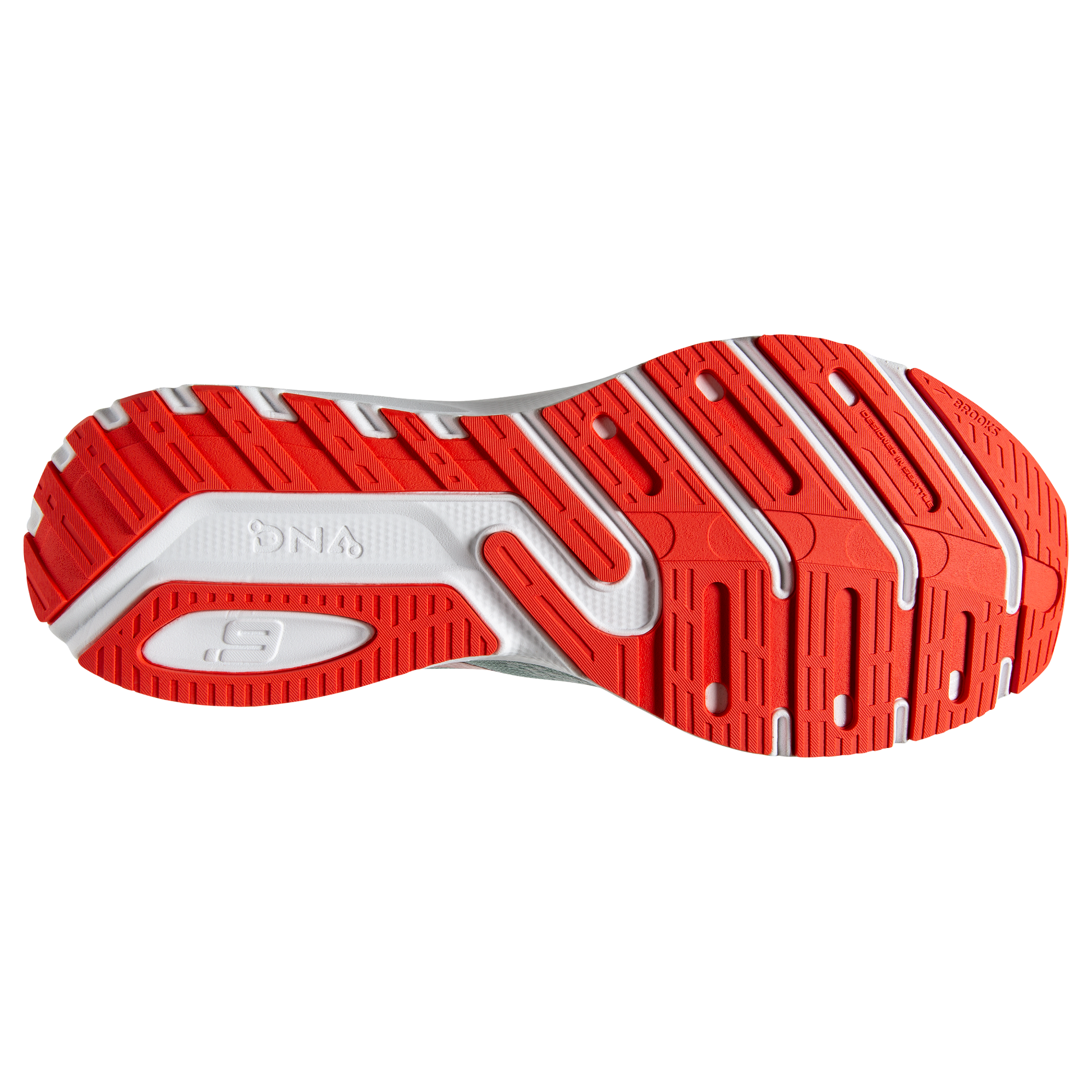 sole