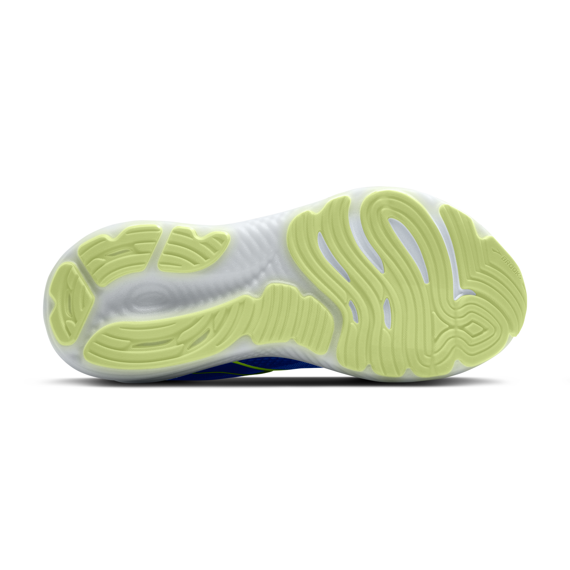 sole