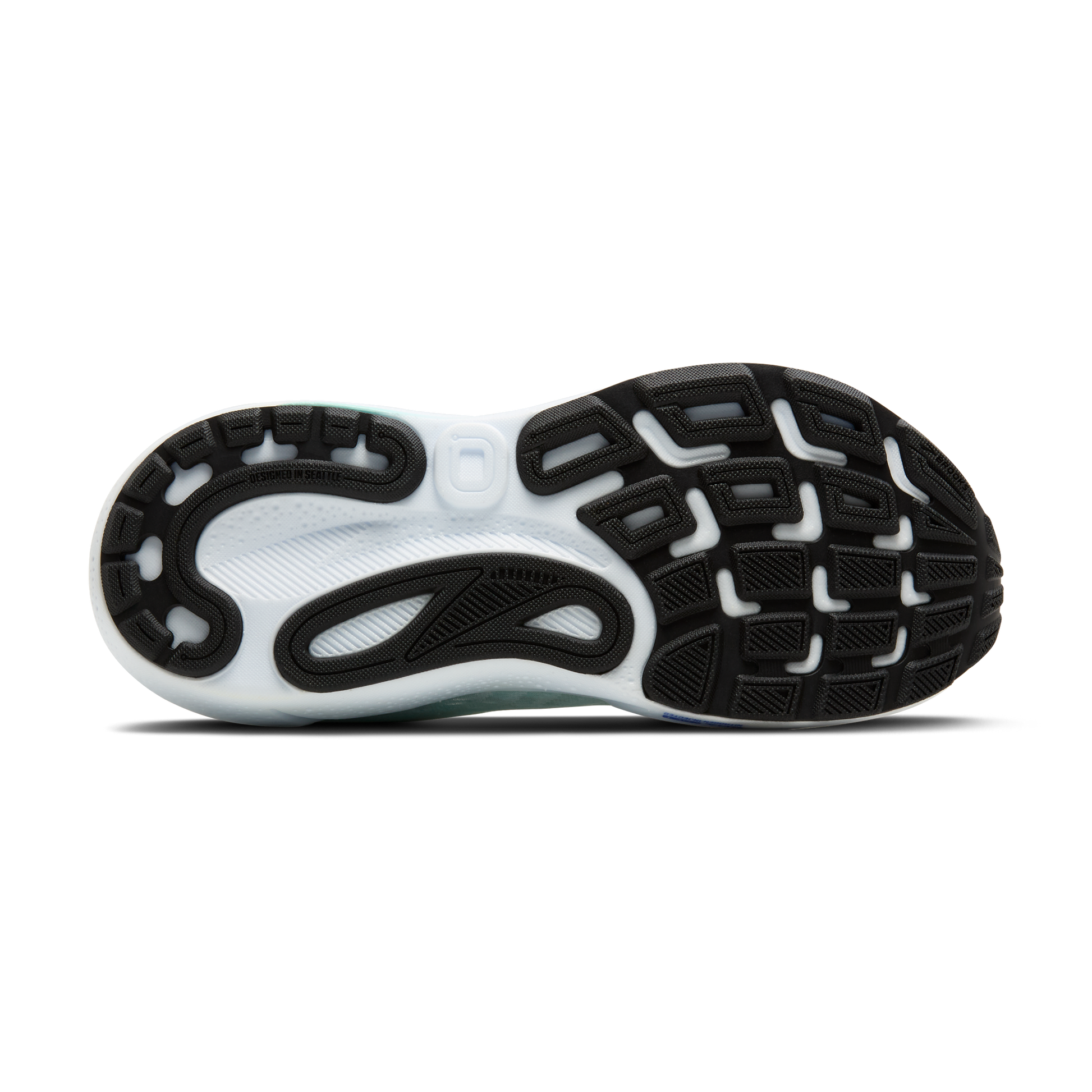 sole