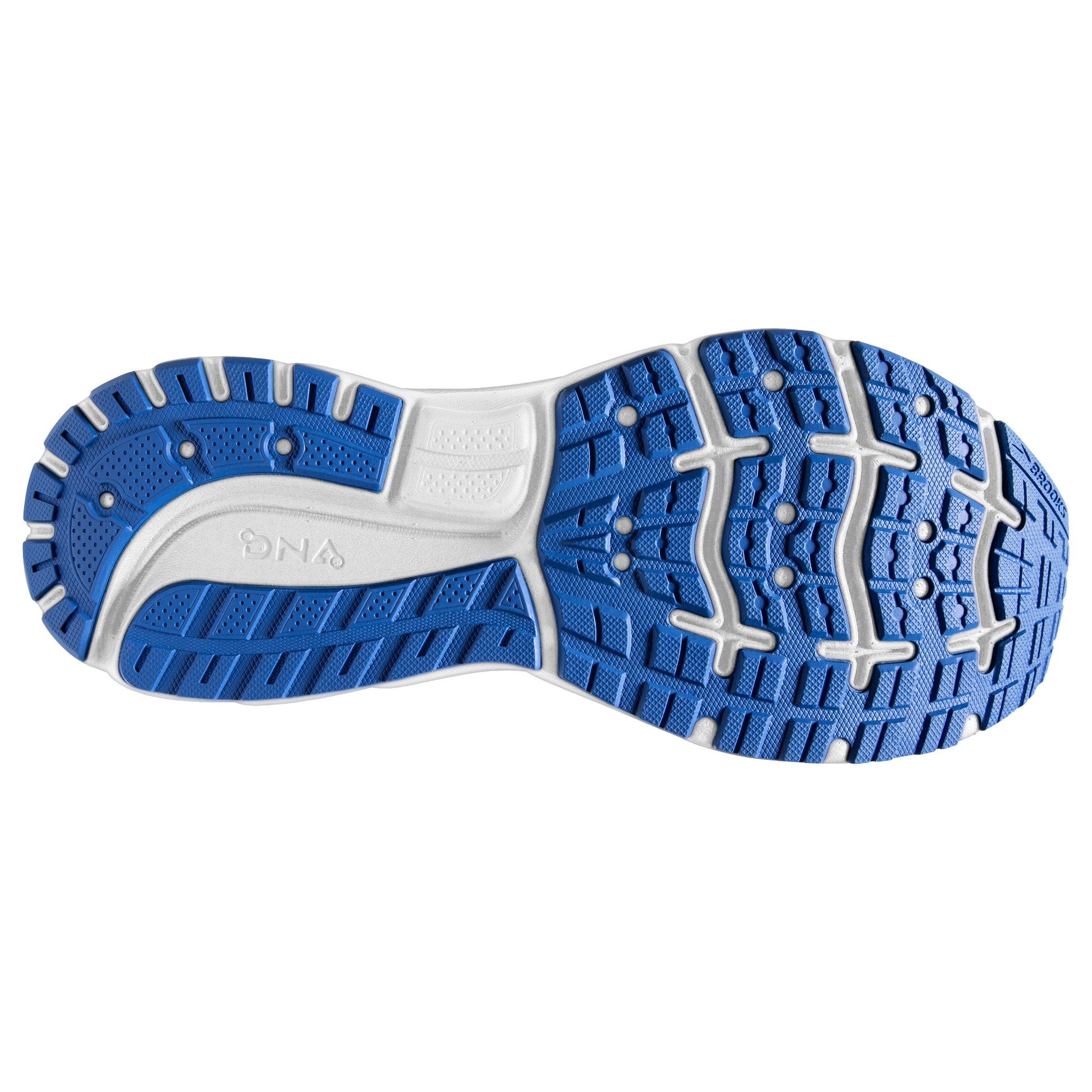 sole
