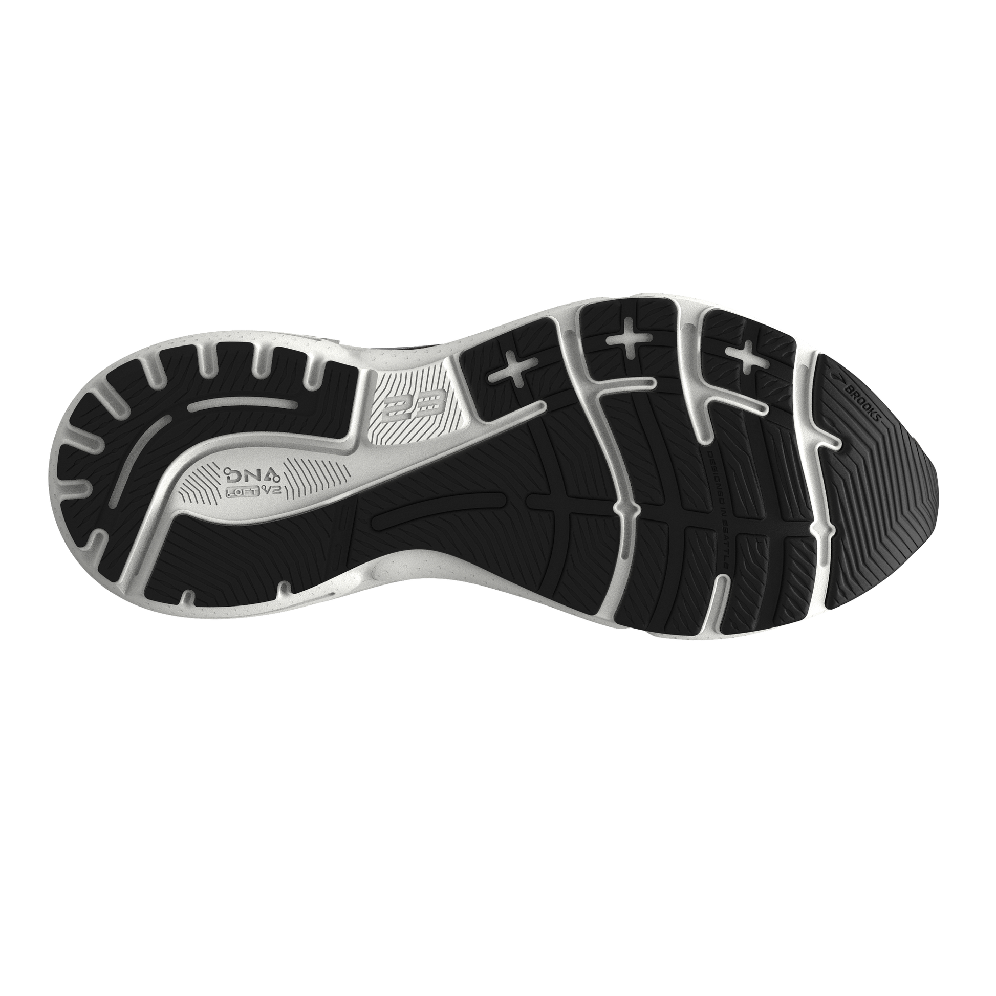 sole
