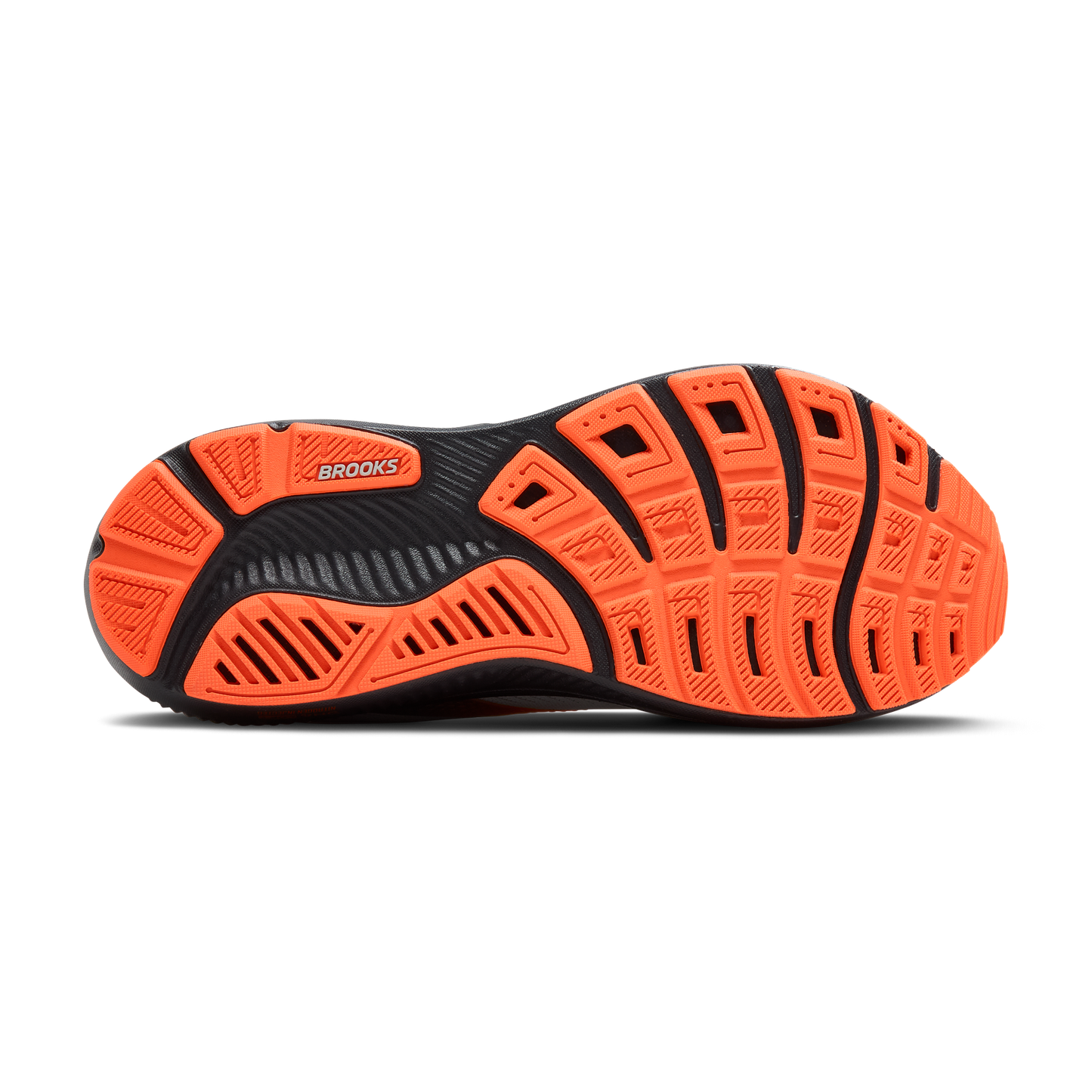 sole