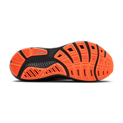 sole