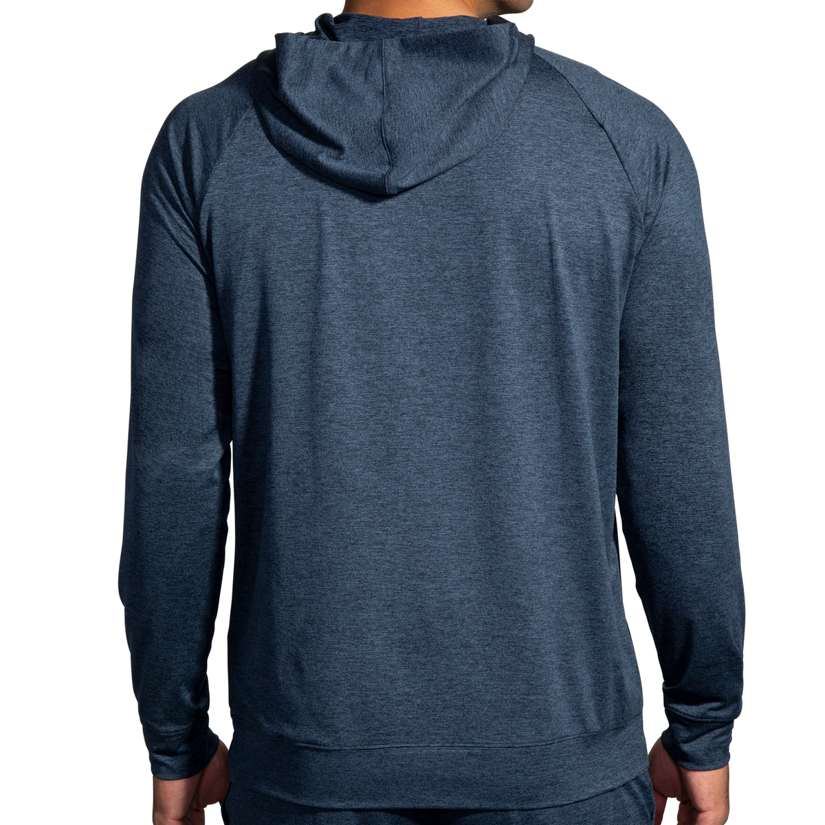 image-model-back