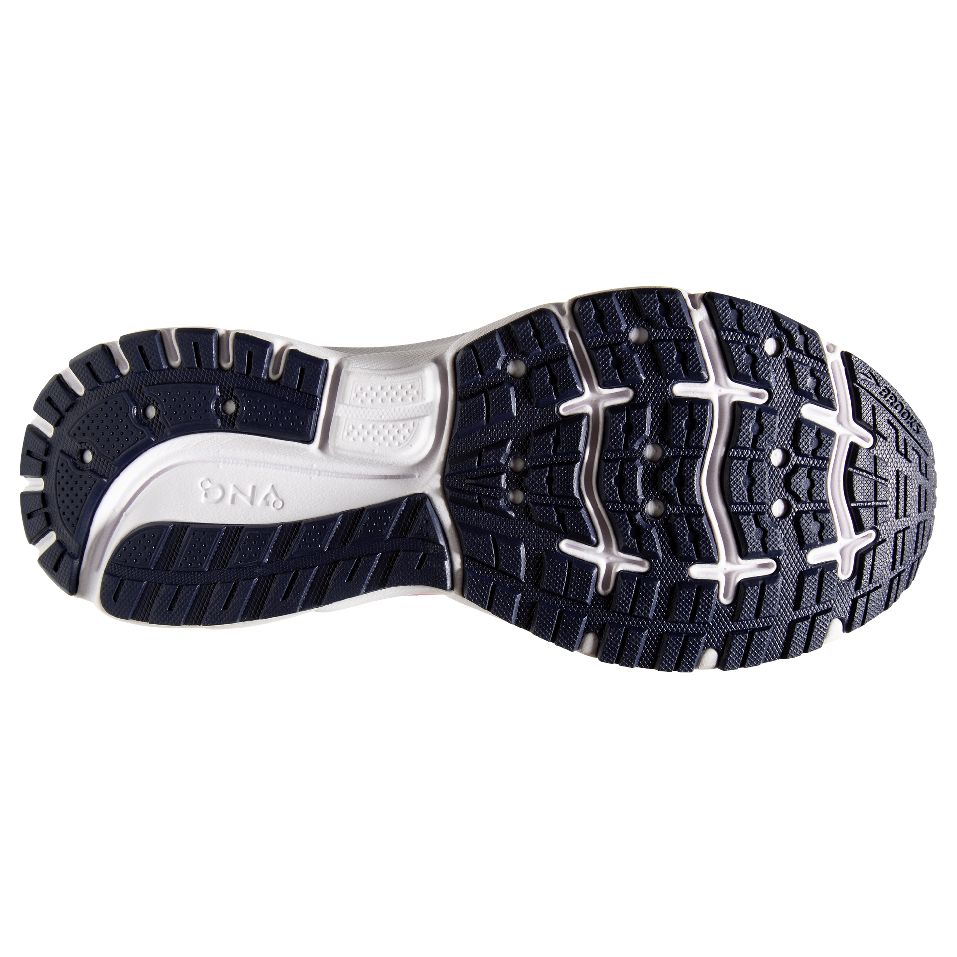 sole