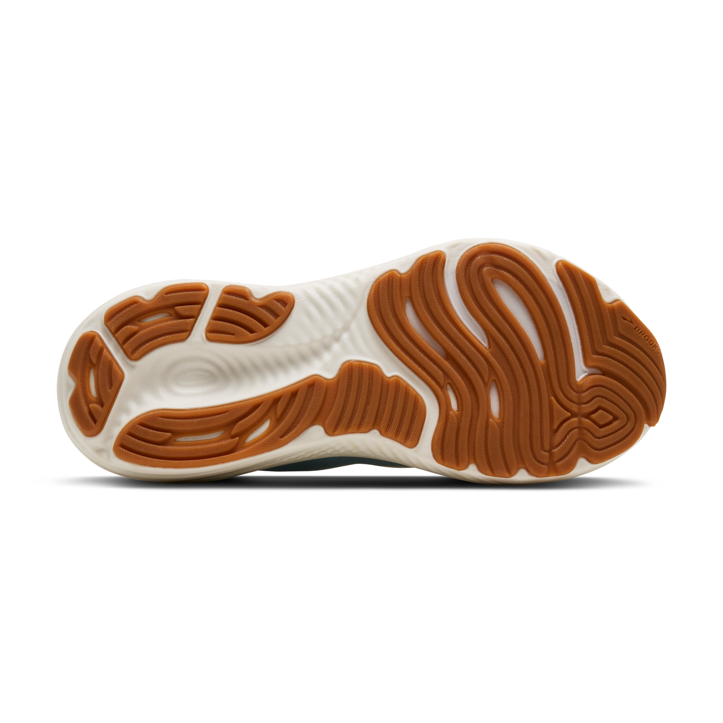 sole