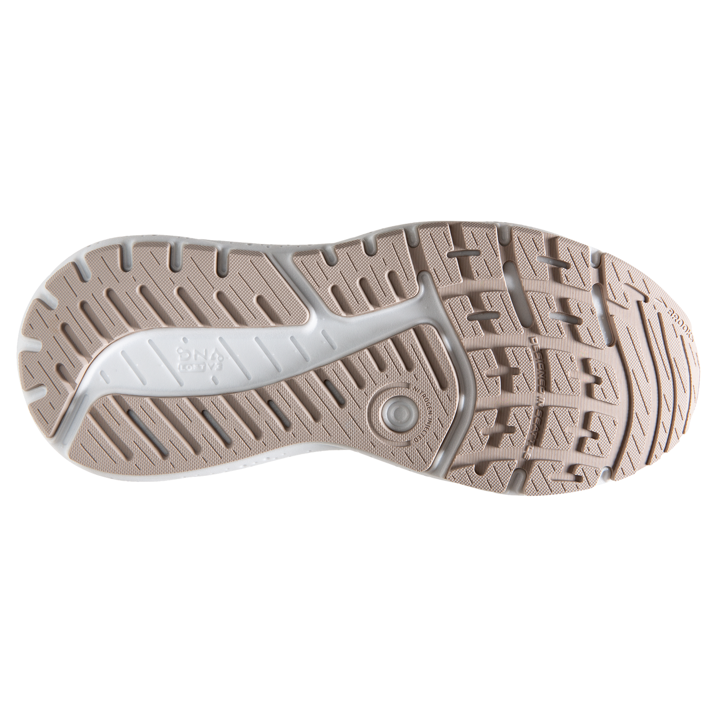 sole