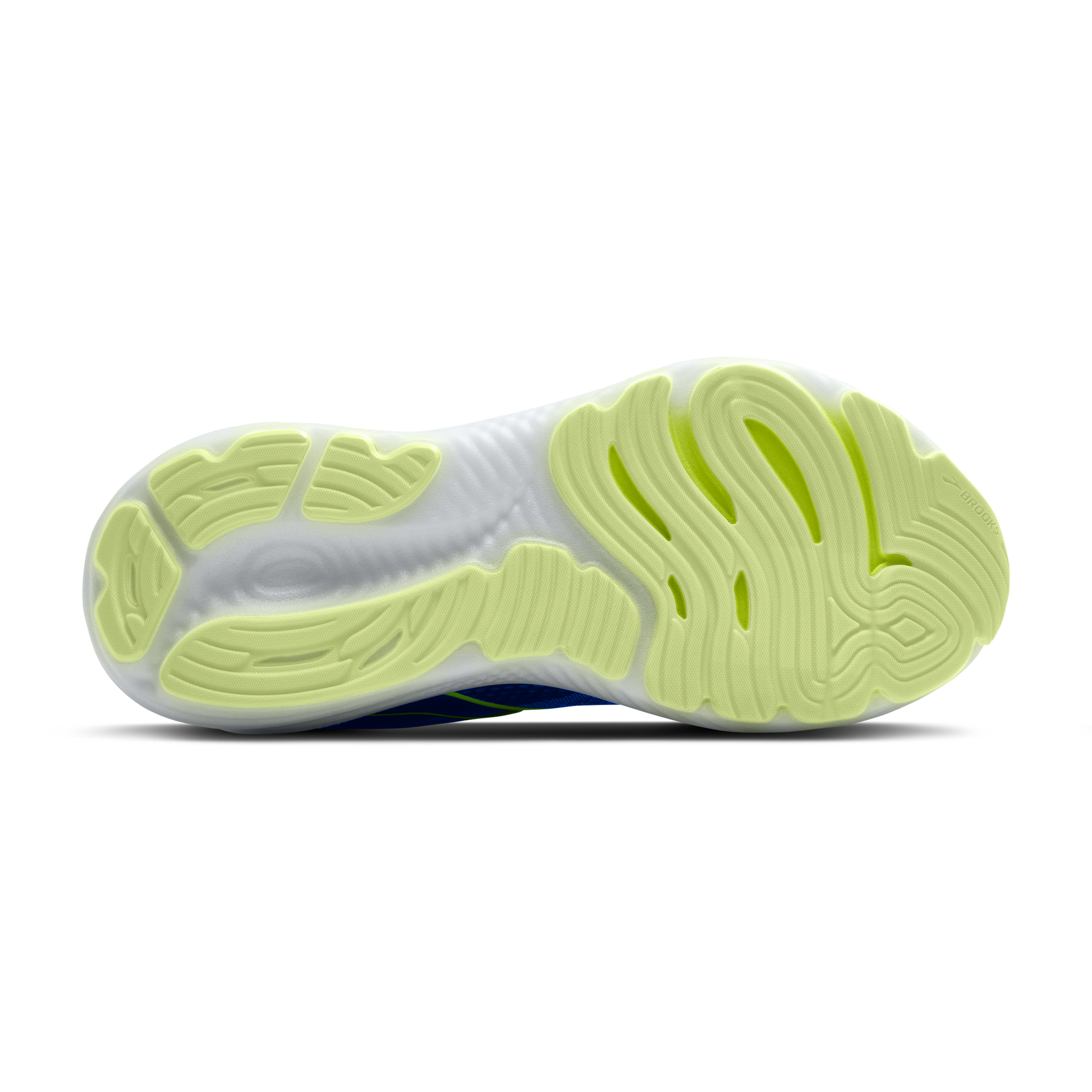 sole