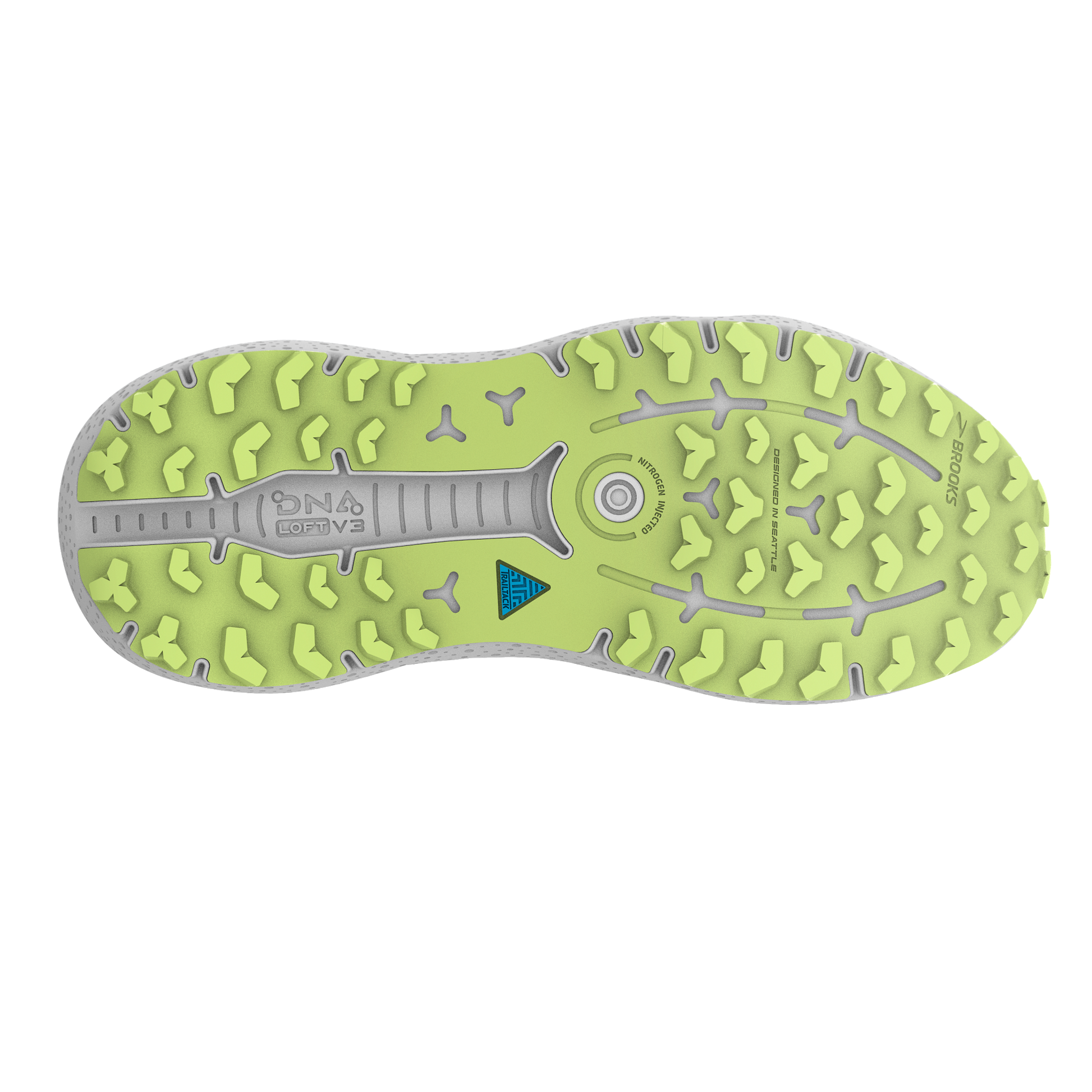 sole