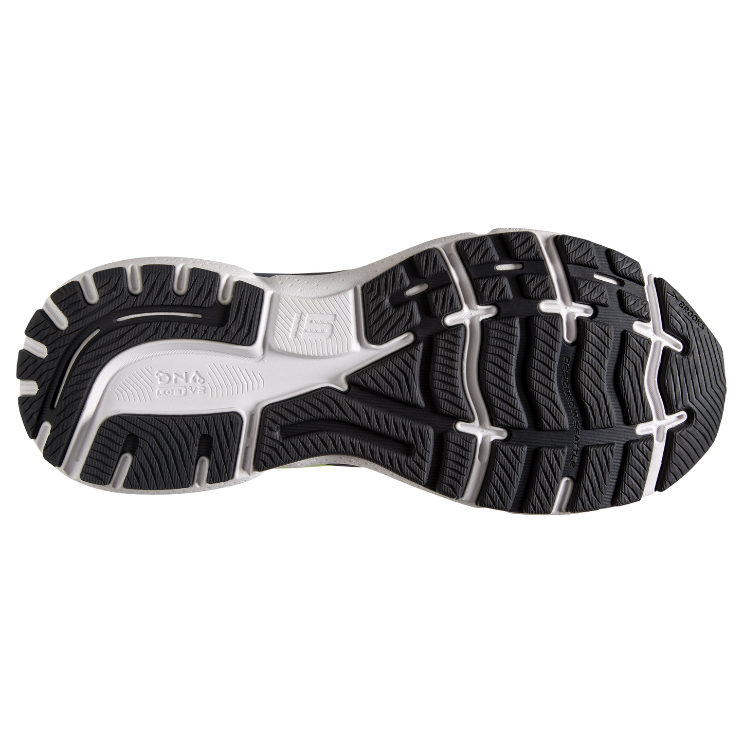 sole