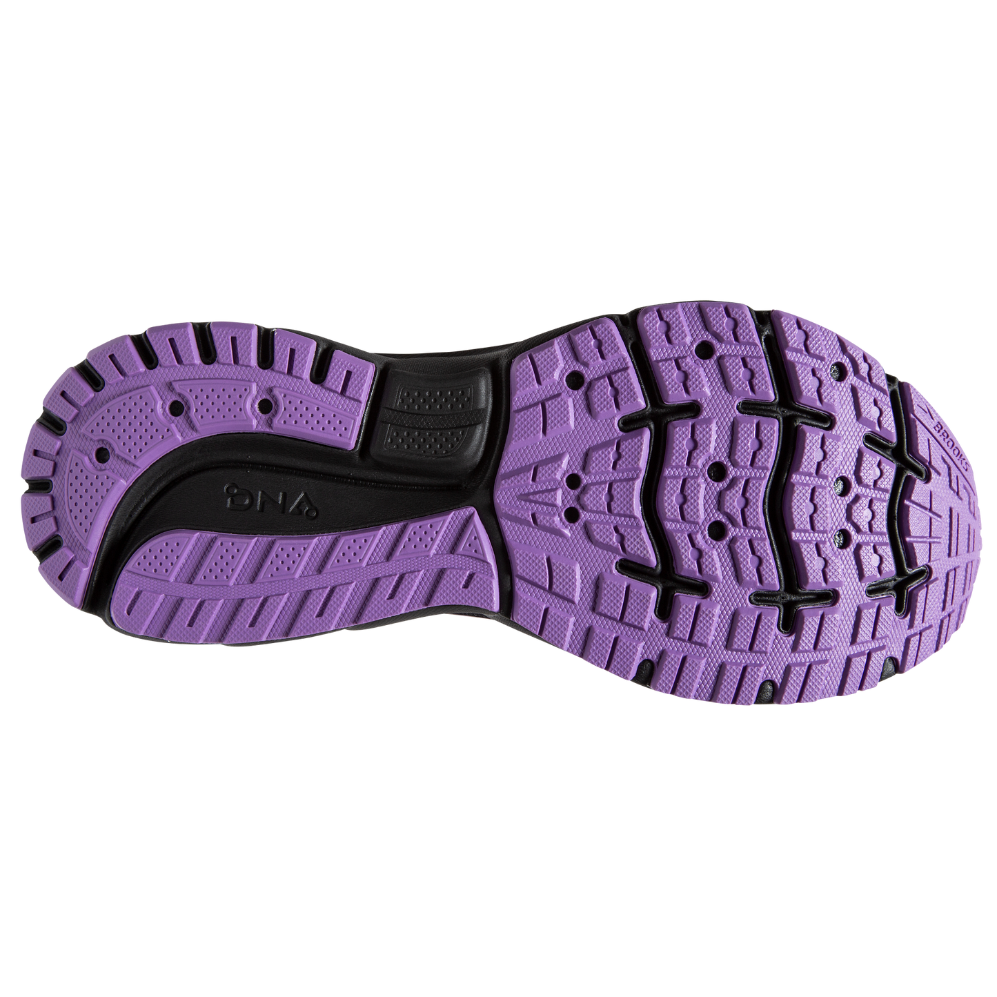 sole