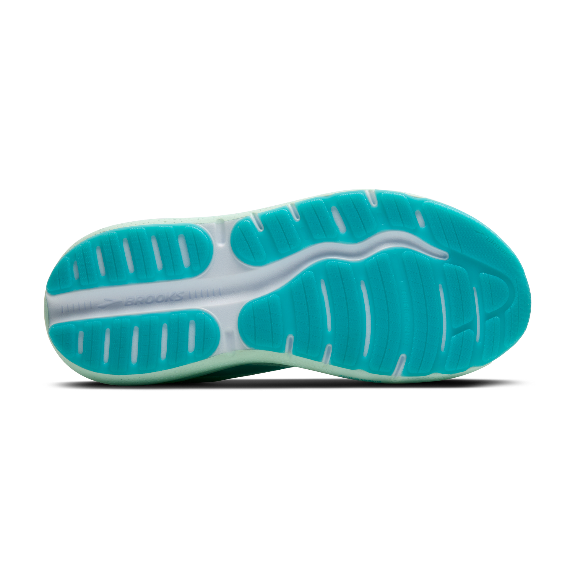 sole