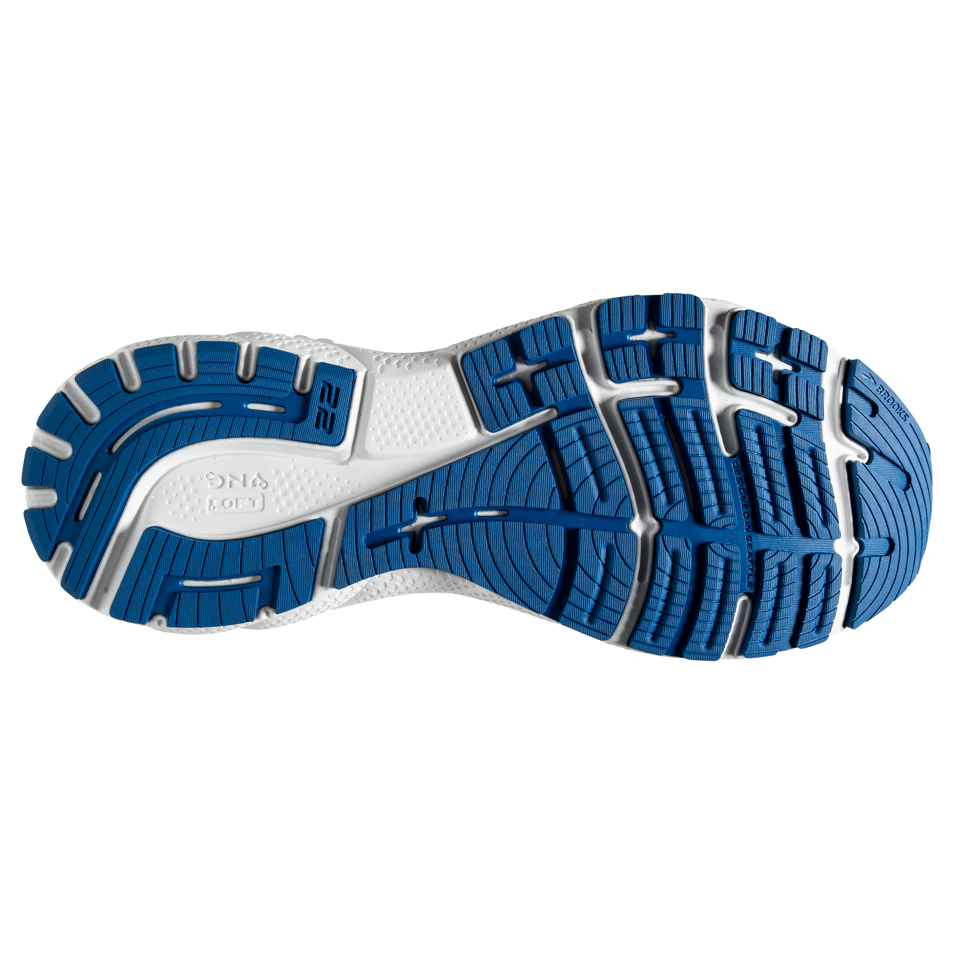 sole