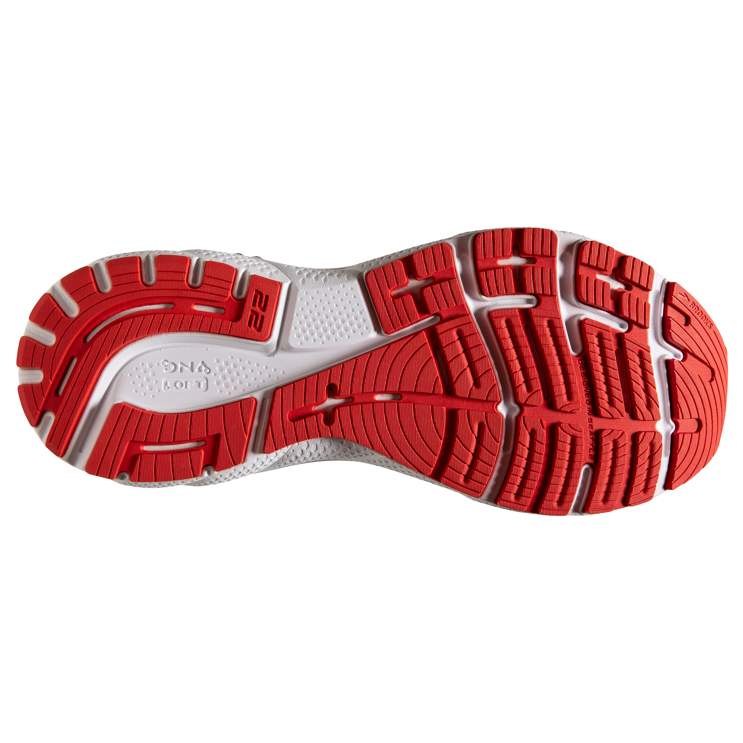 sole