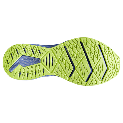 sole