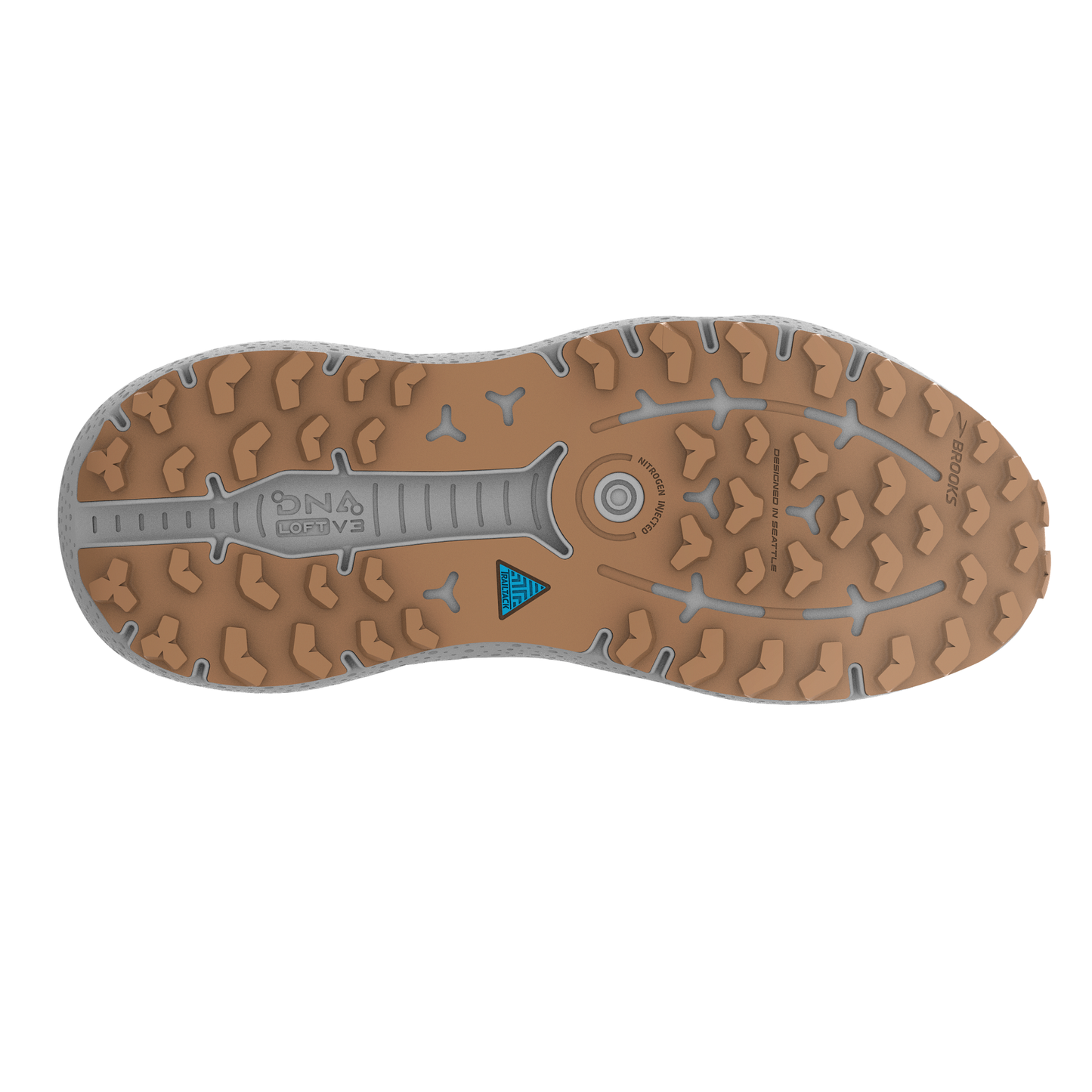 sole