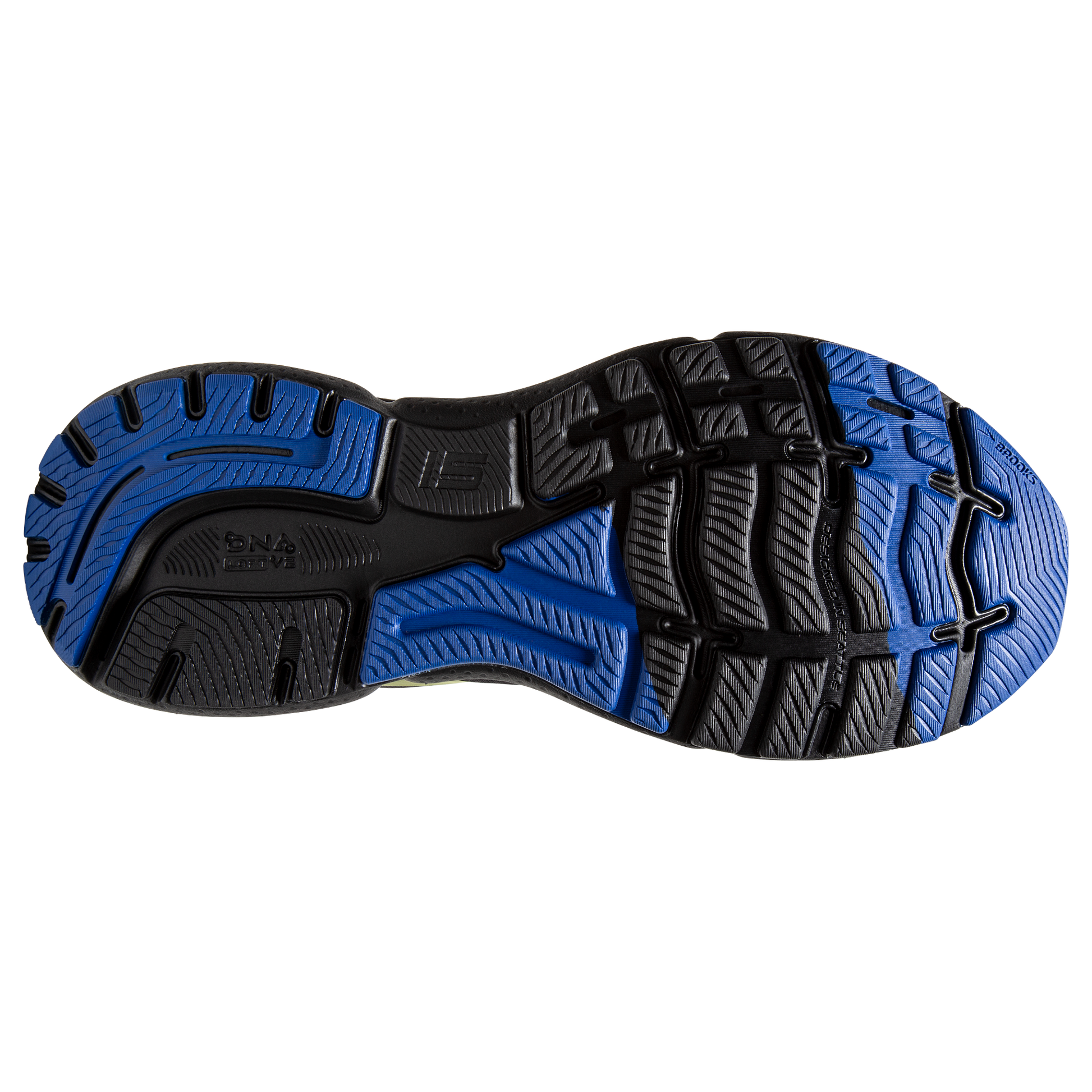 sole