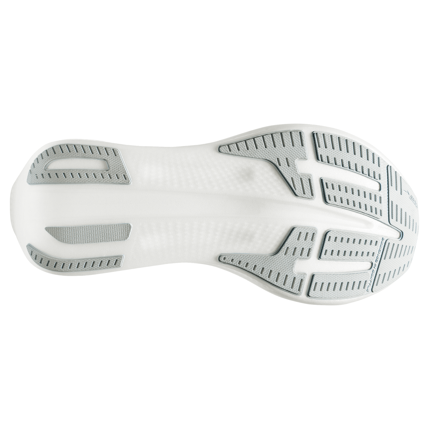 sole