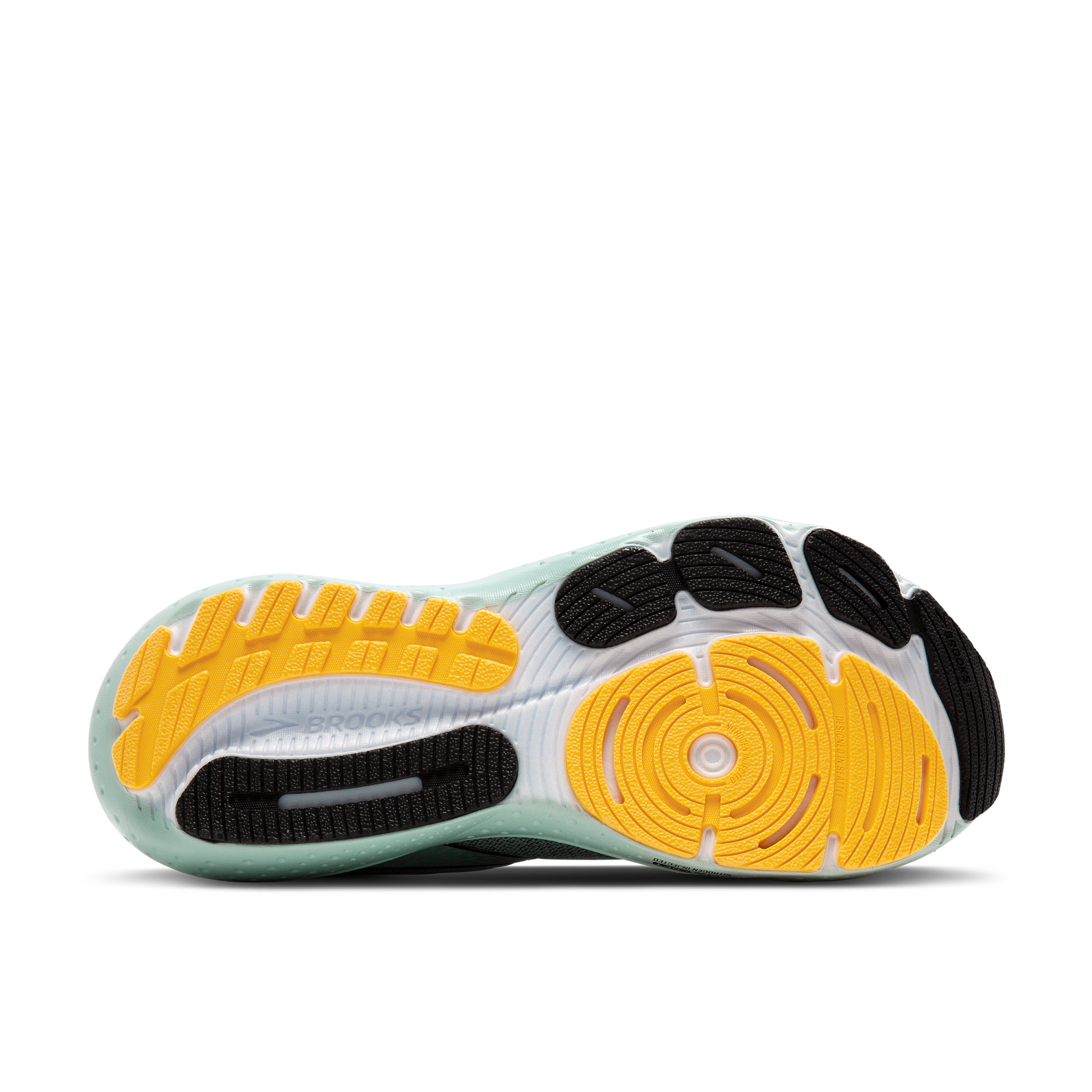 sole