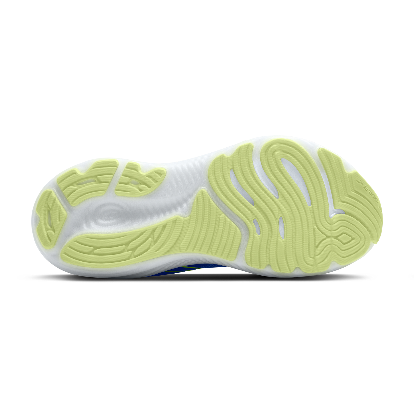 sole