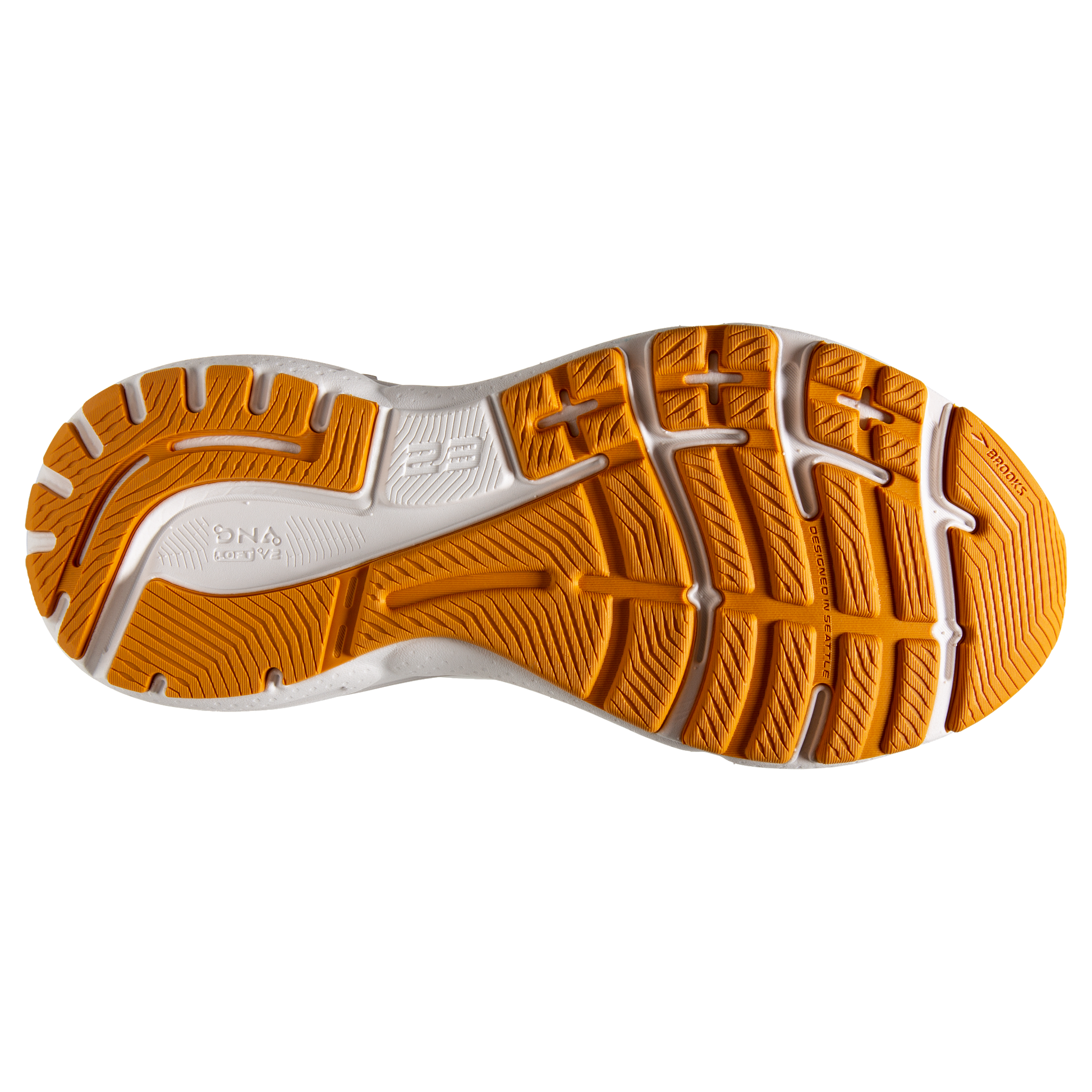 sole
