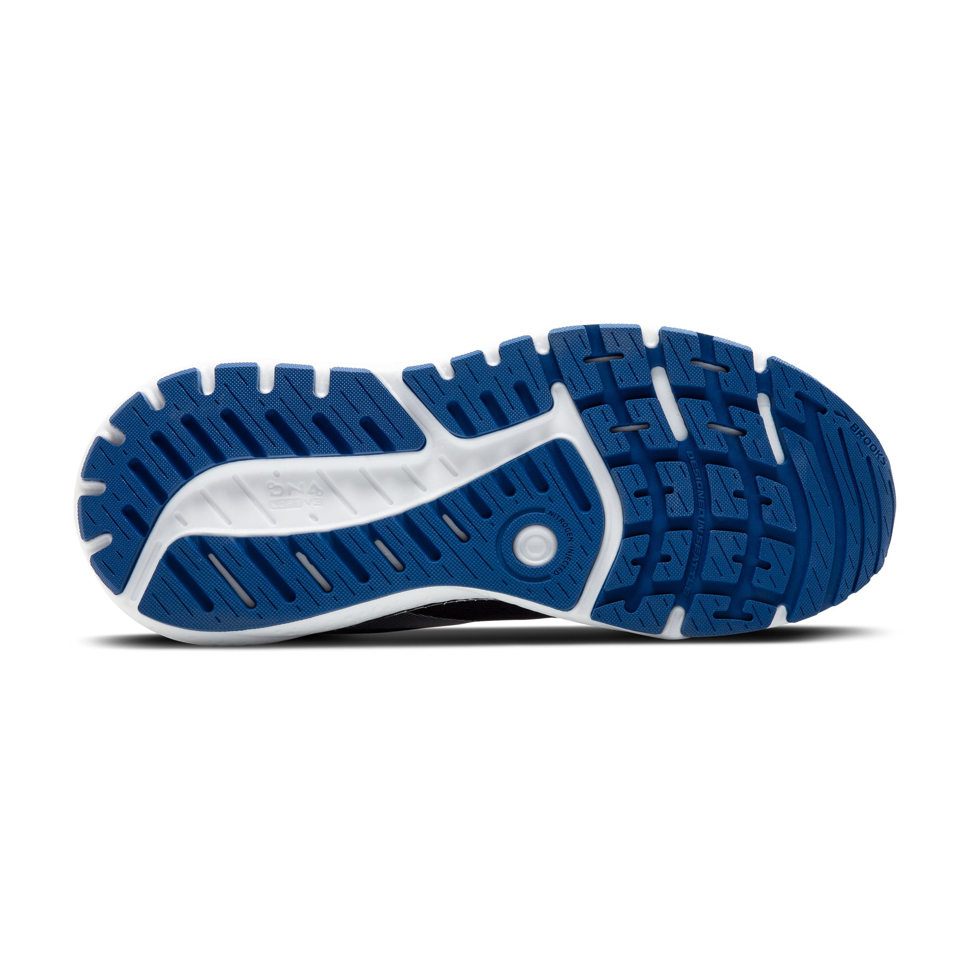 sole