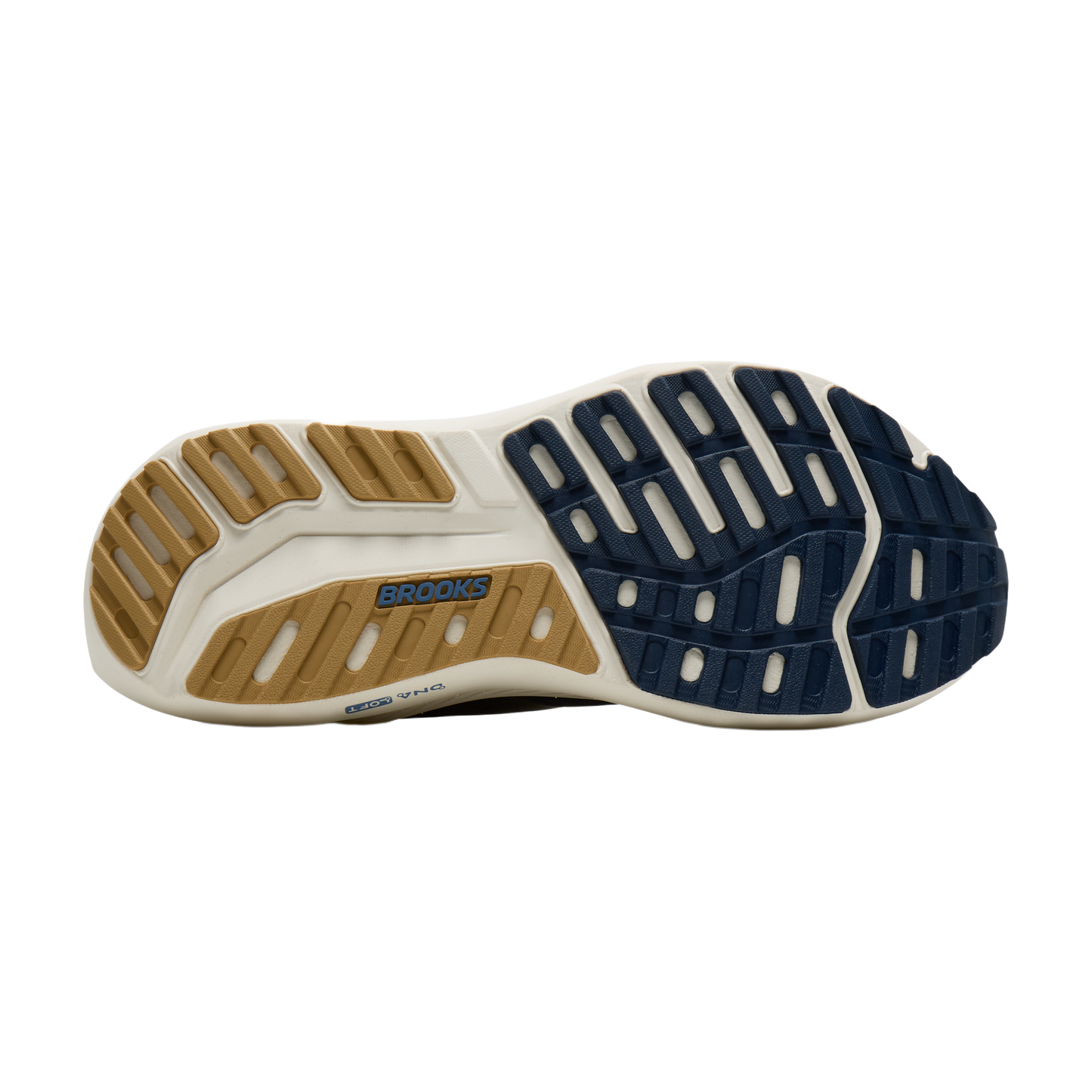 sole