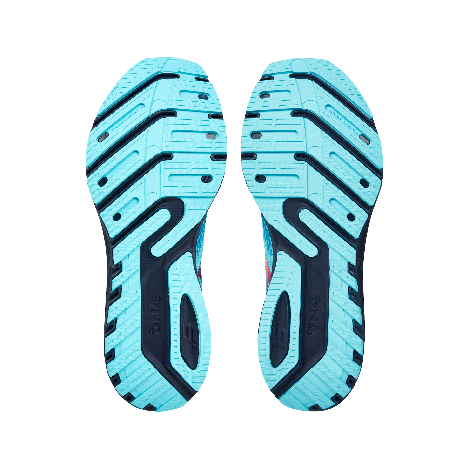 sole