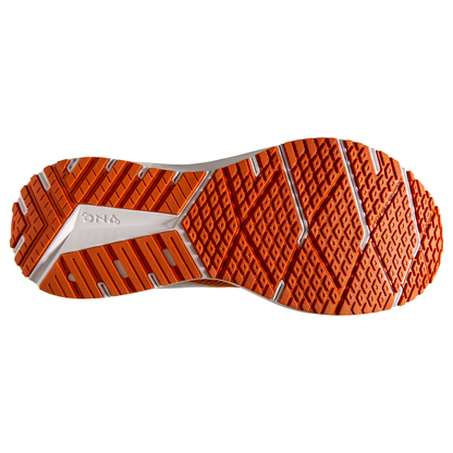 sole