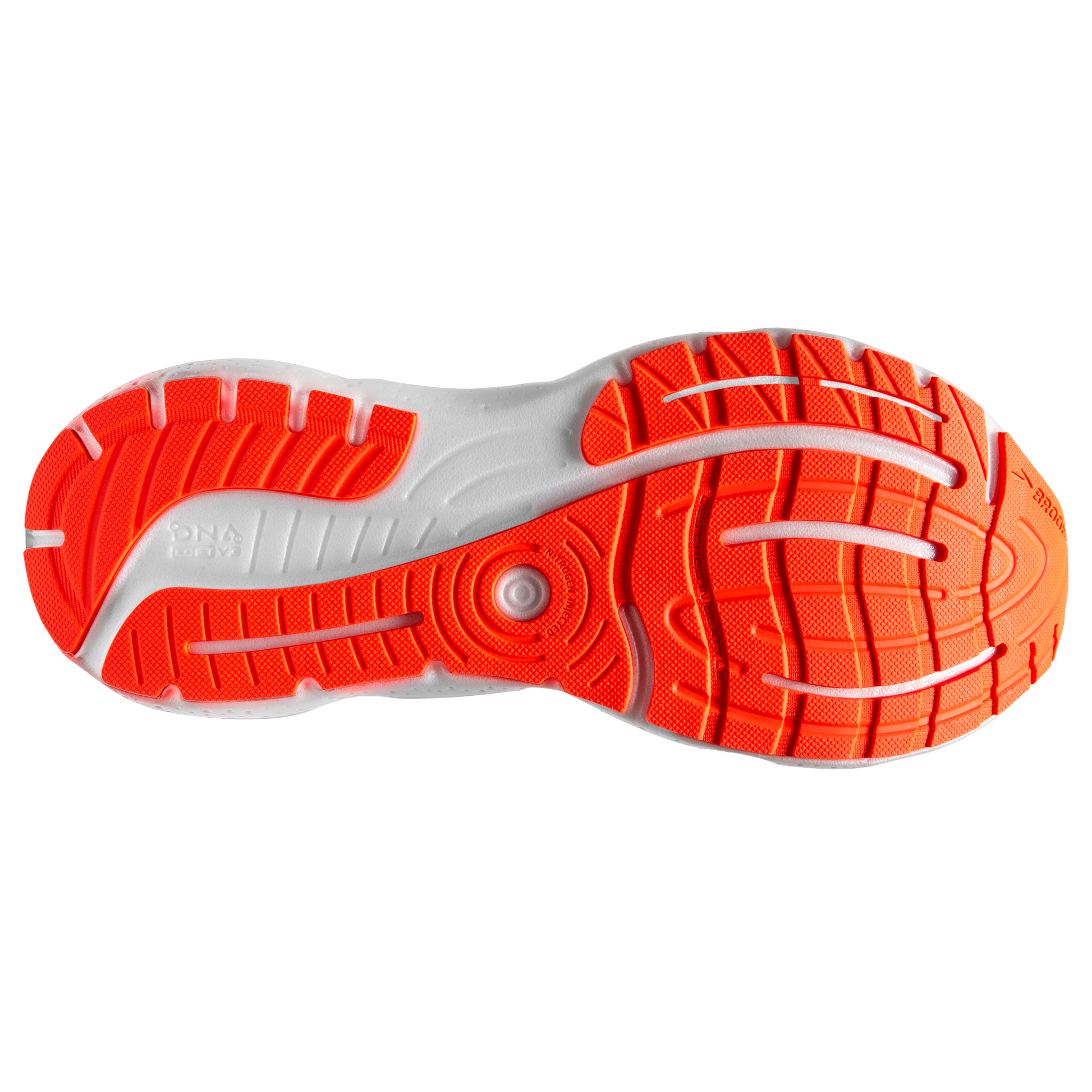 sole
