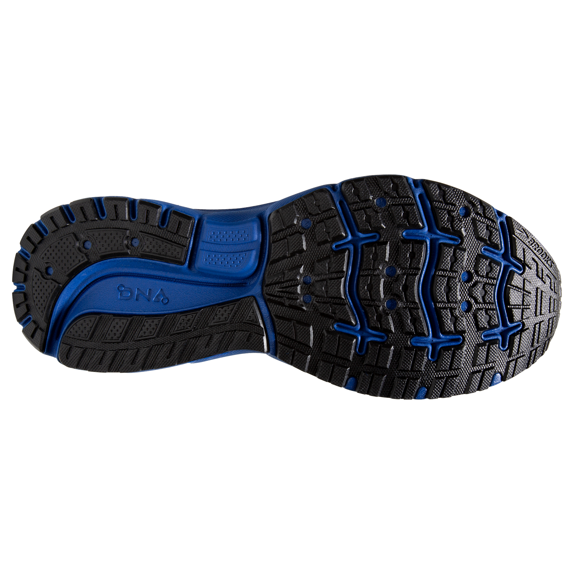 sole