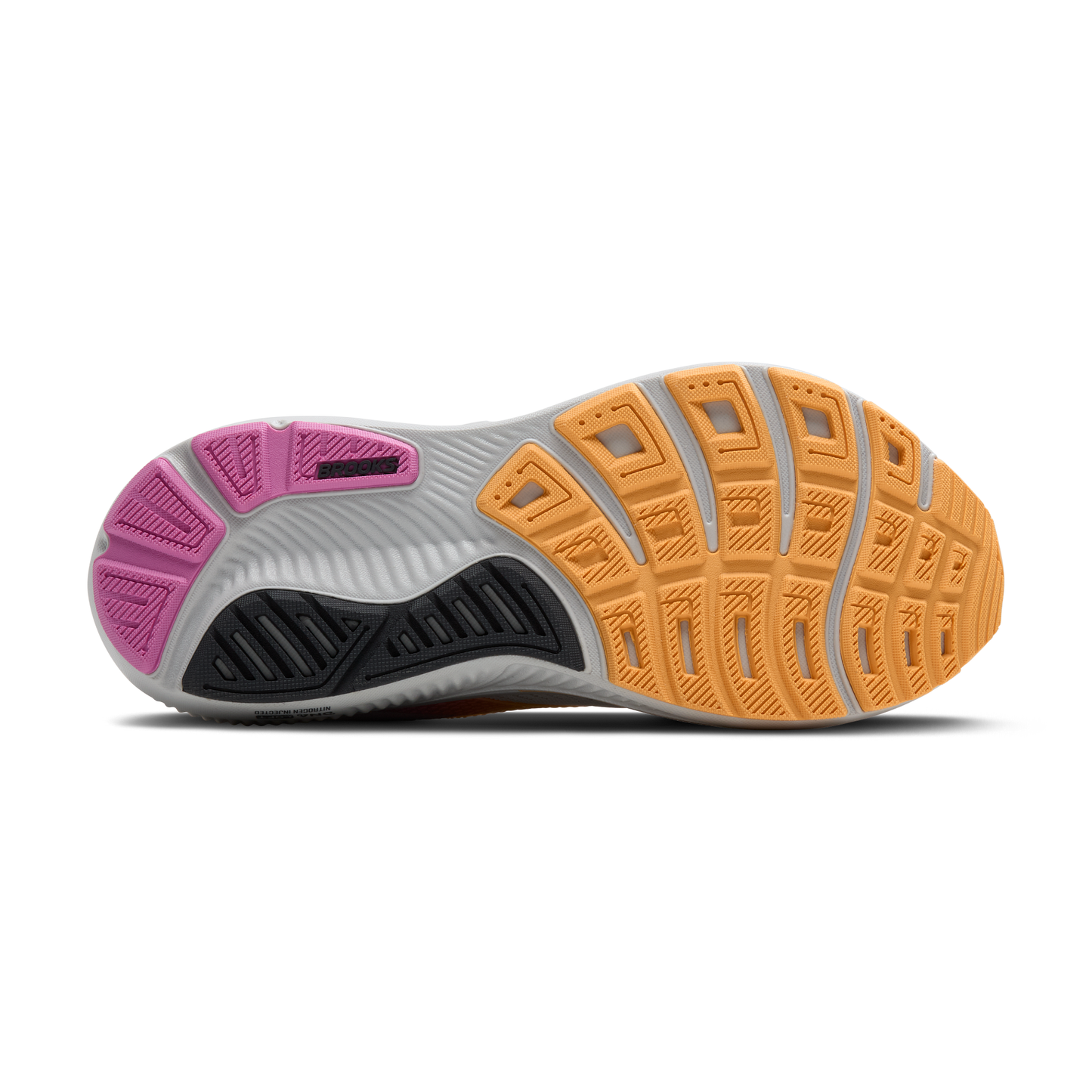 sole