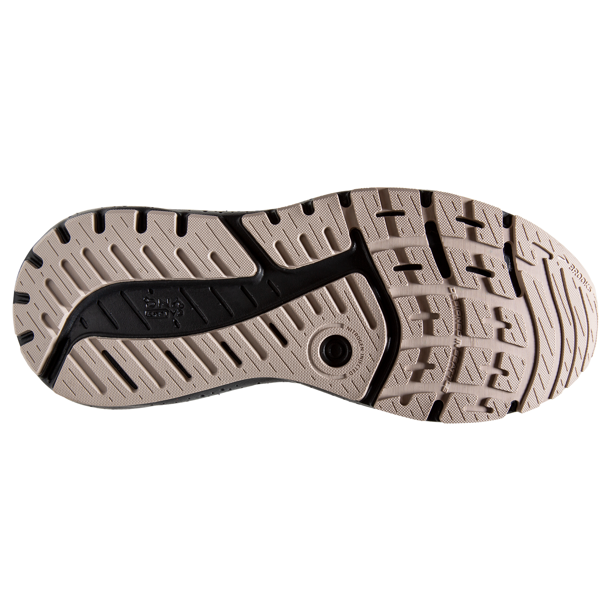 sole