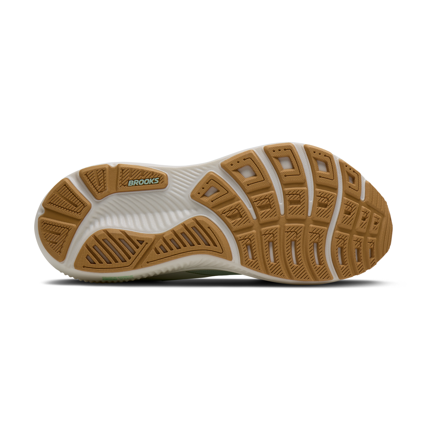 sole