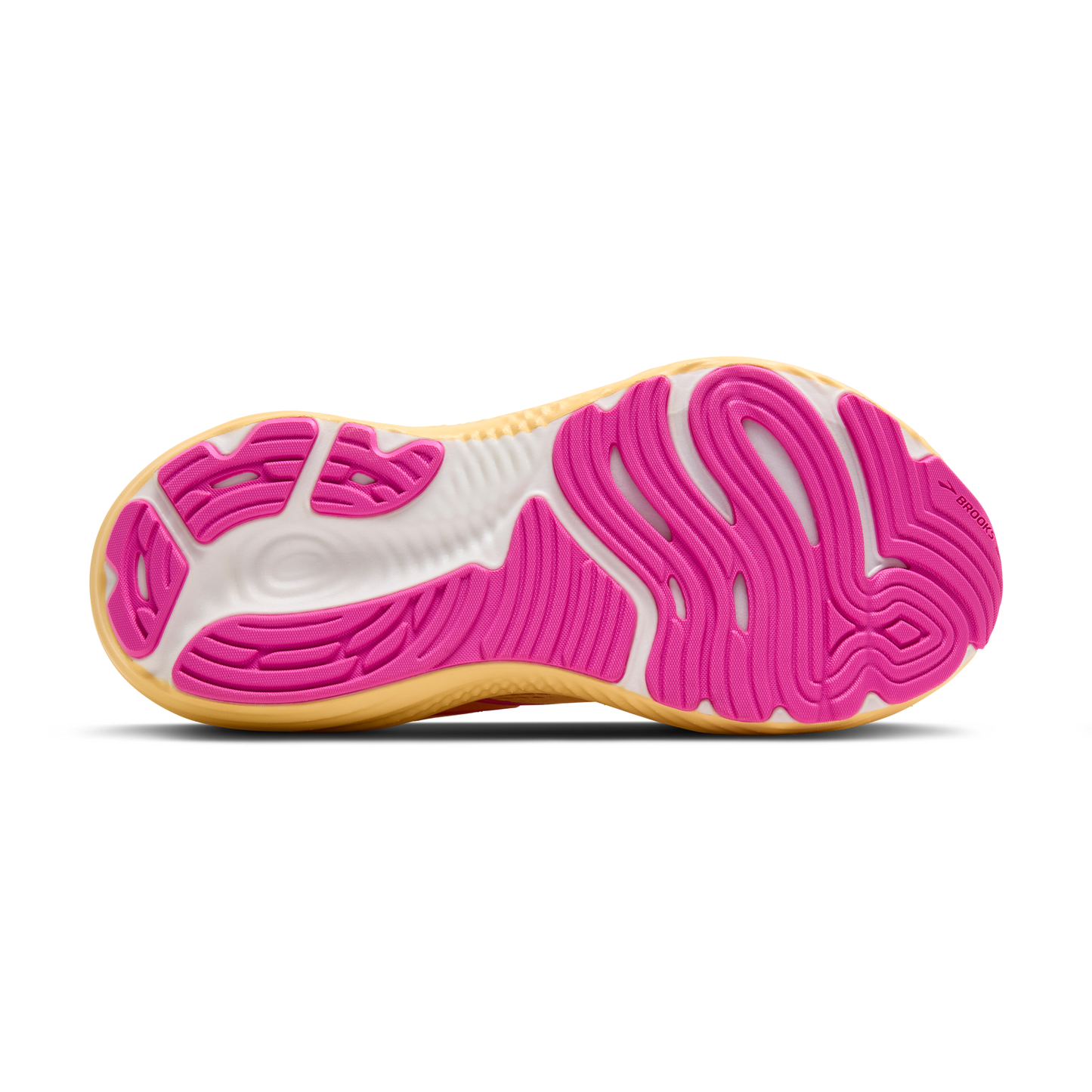 sole