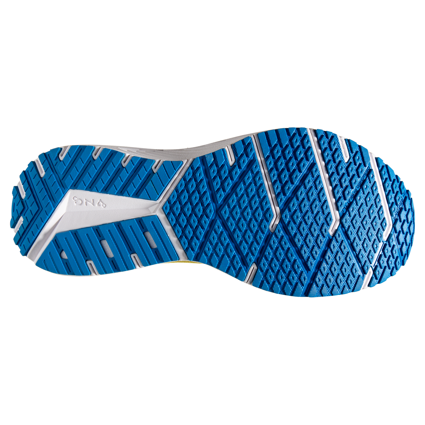 sole