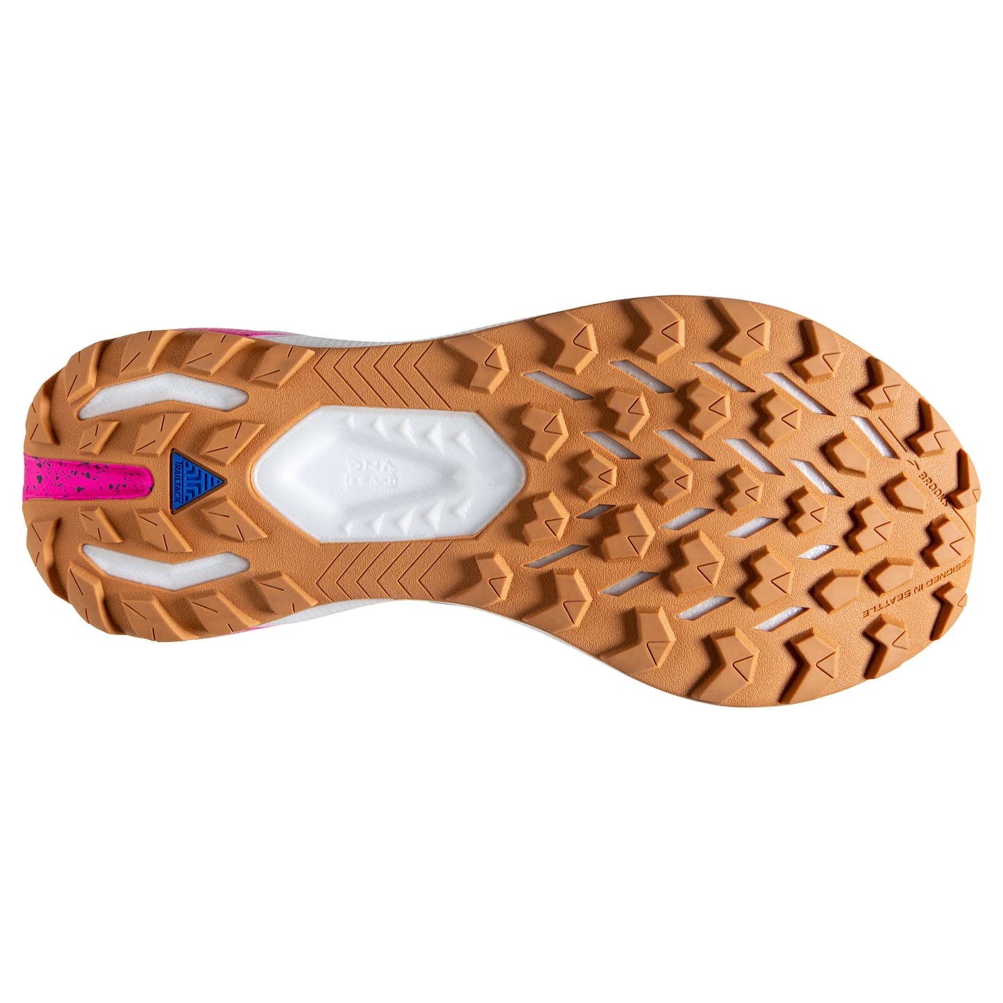 sole