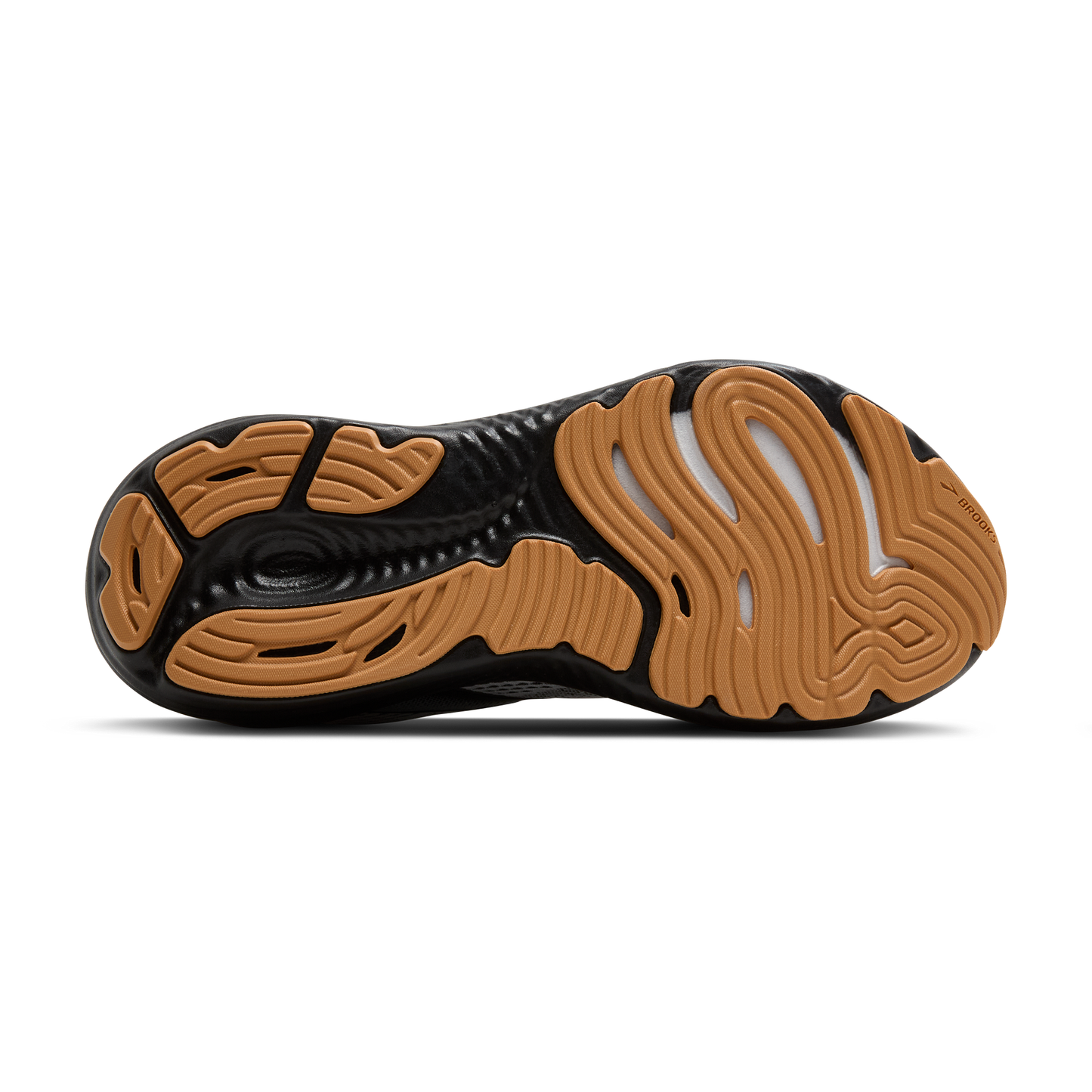 sole